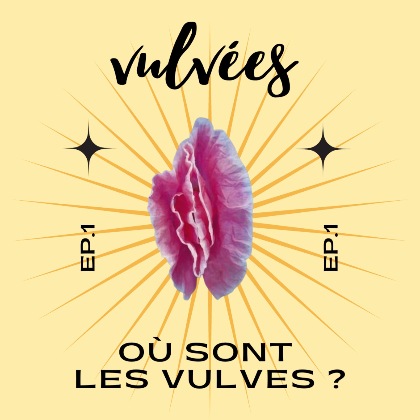 [Ep. 1] Où sont les vulves ? Diversité génitale et représentation des sexes féminins. episode artwork