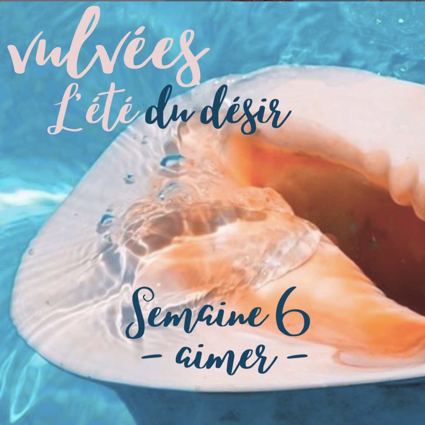 Vulvées - Tantra, sexualité positive, intimité, désir et plaisir