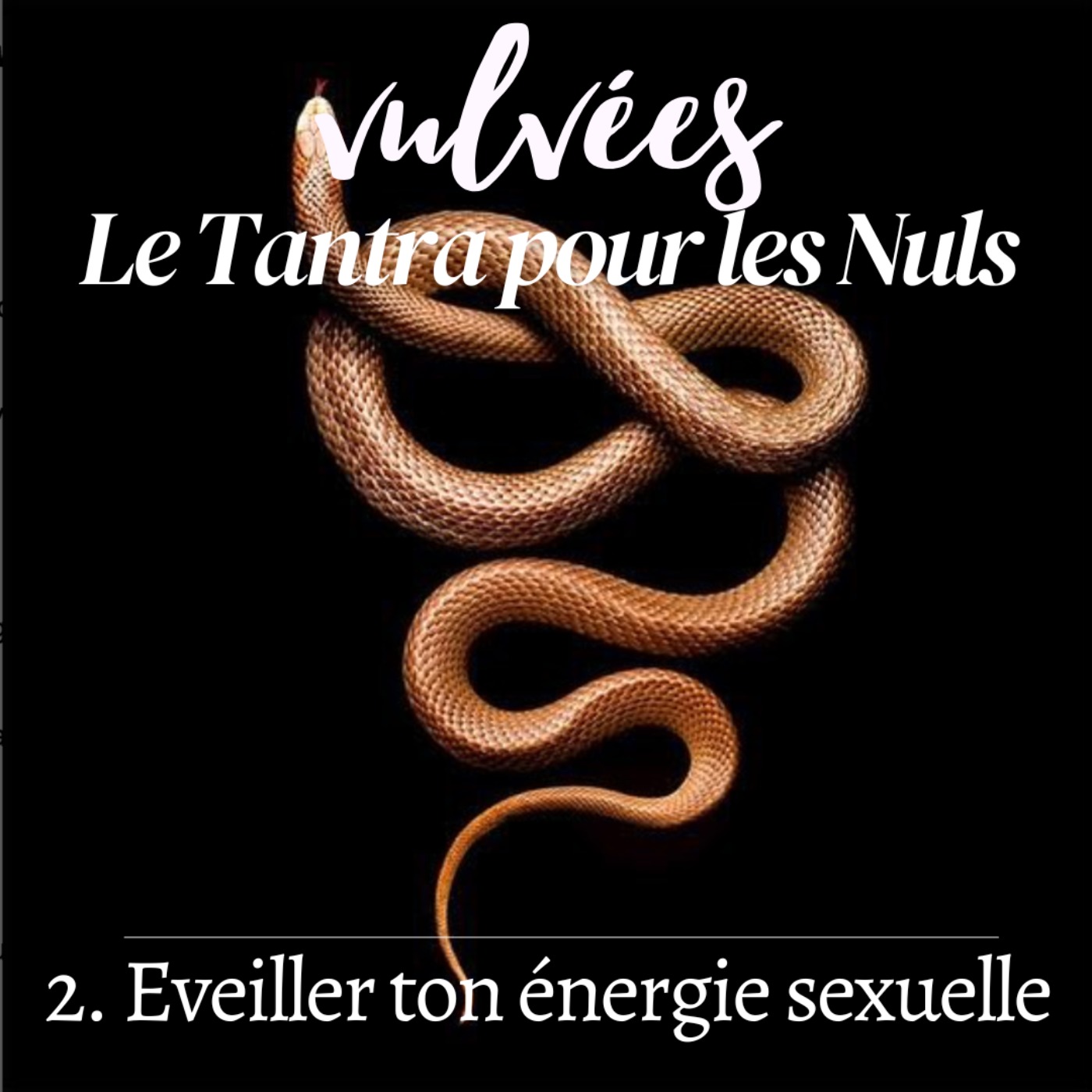 Vulvées - Tantra, sexualité positive, intimité, désir et plaisir