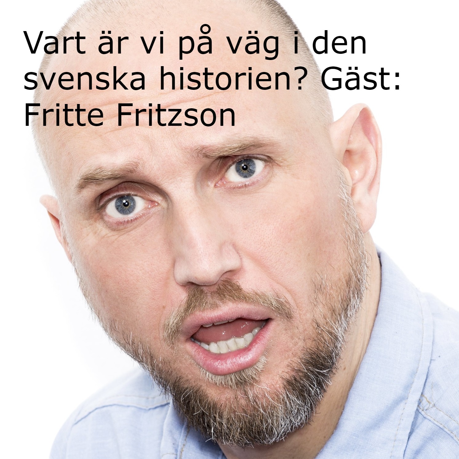 PODDTIPS. Vart är vi på väg i den svenska historien? (Avsnitt 6) Fritte Fritzson episode artwork