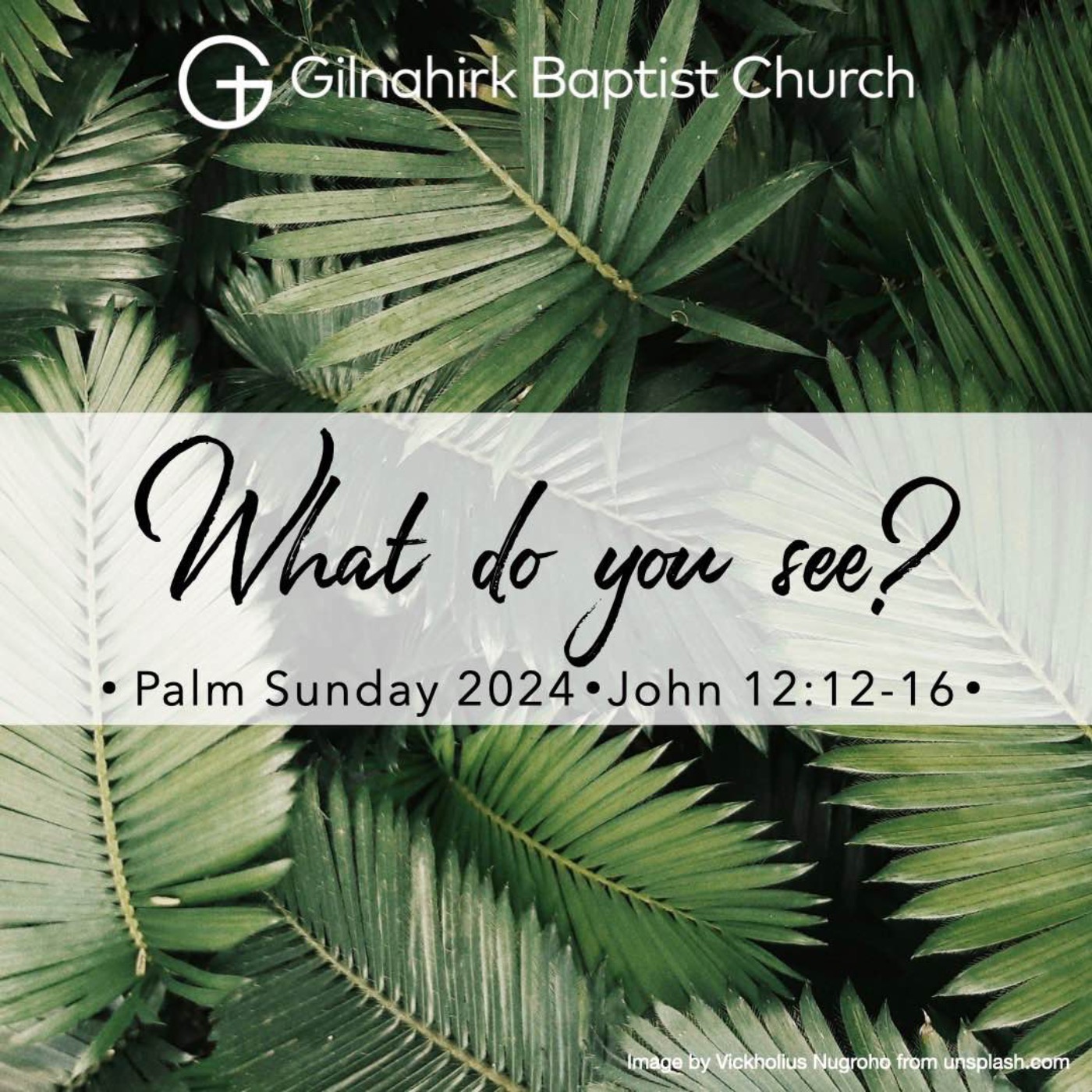 cover art for Palm Sunday 2024 // John 12:12-16 // What do you see?
