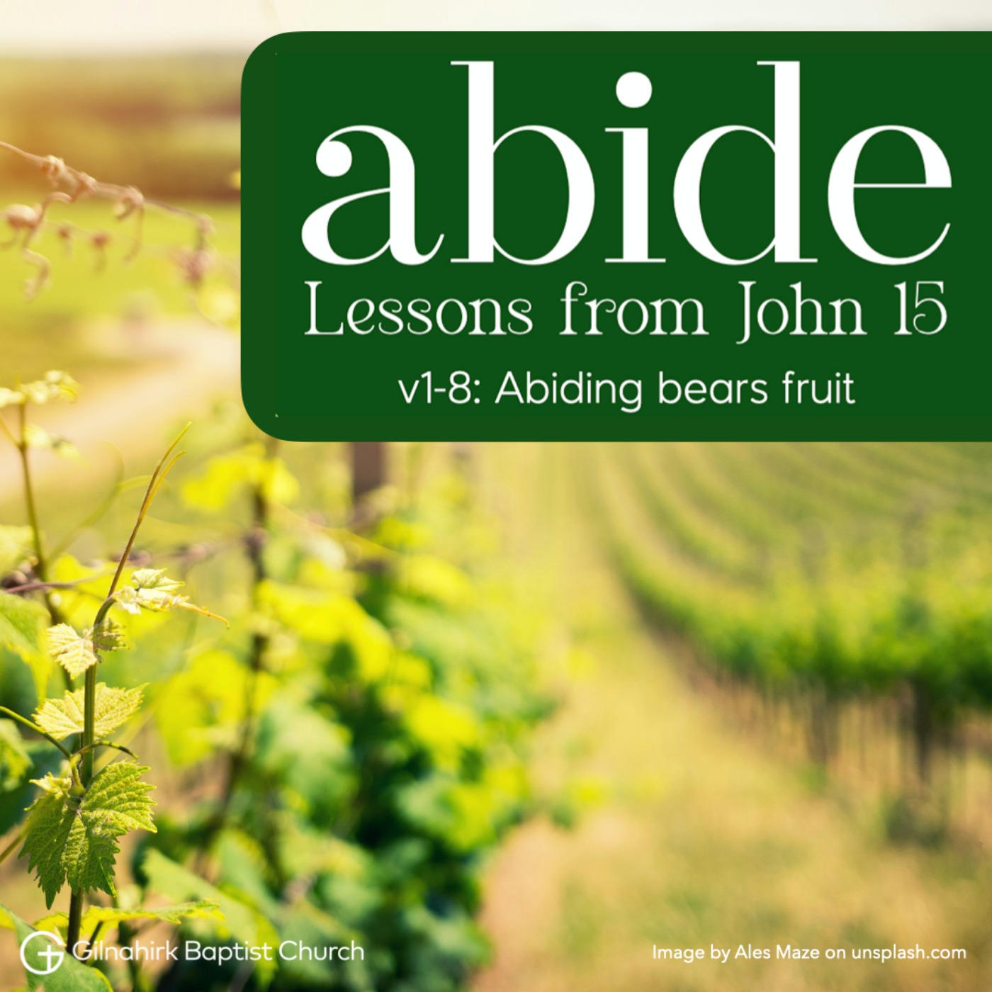 Abide // Lessons from John 15 // 1 - Abiding bears fruit episode artwork