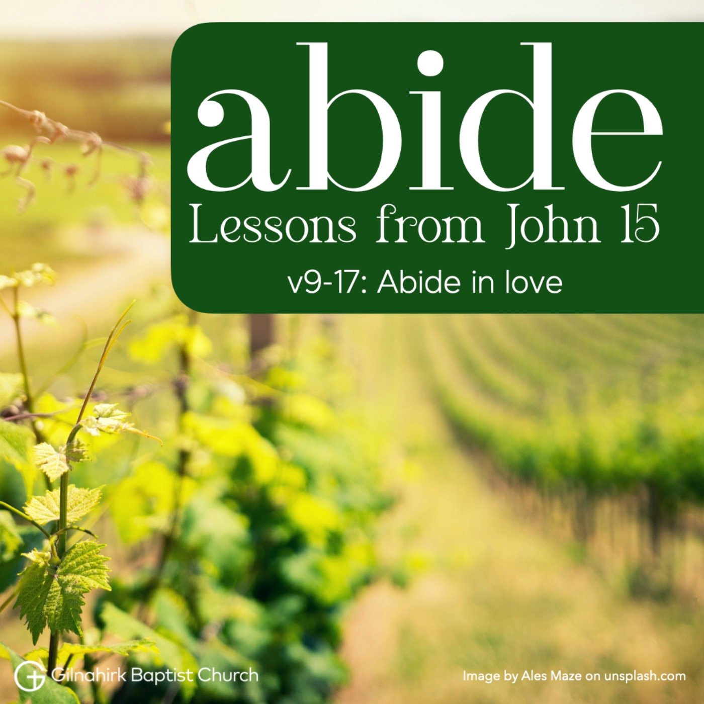 Abide // Lessons from John 15 // 2 - Abide in love episode artwork