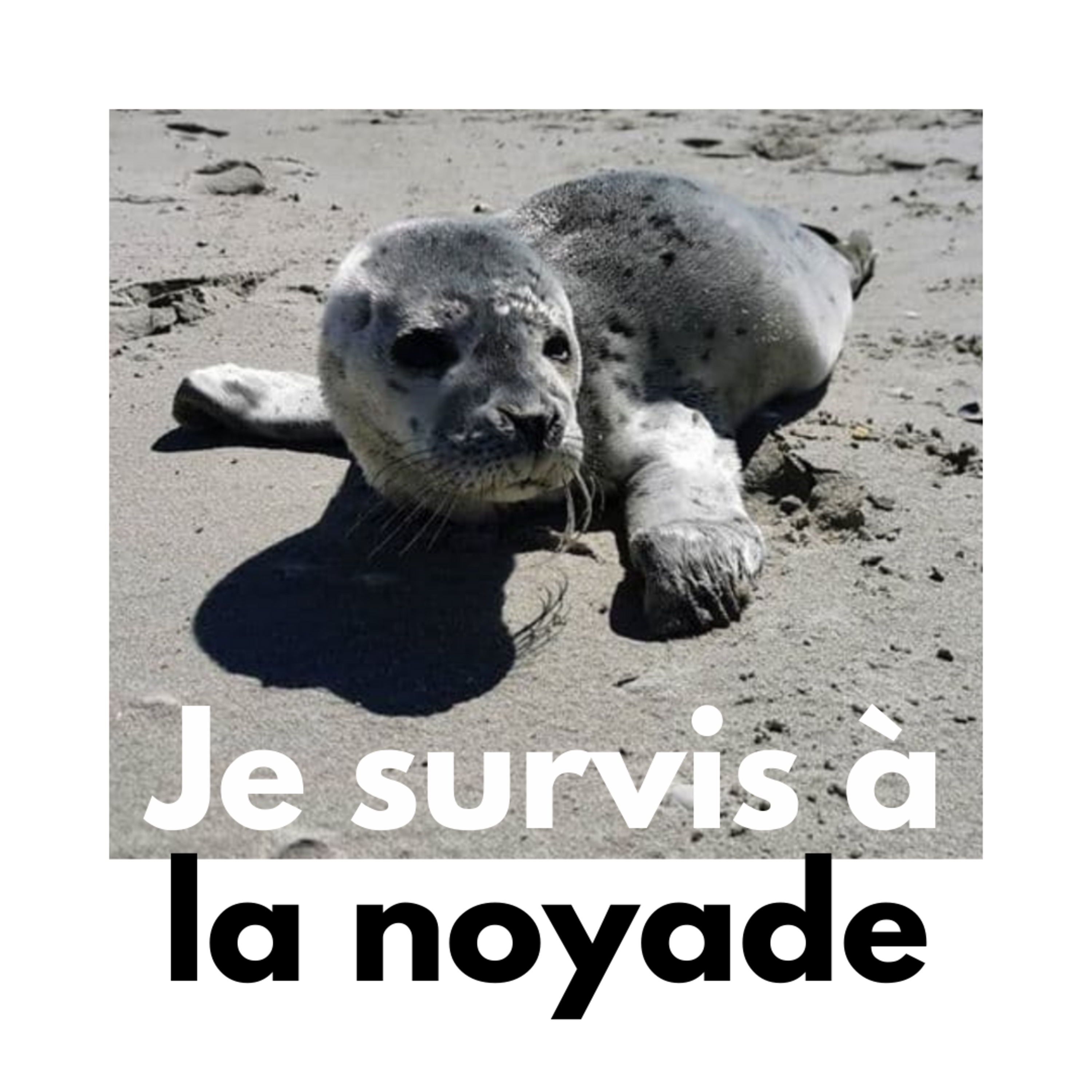 Marie Sans Filtre