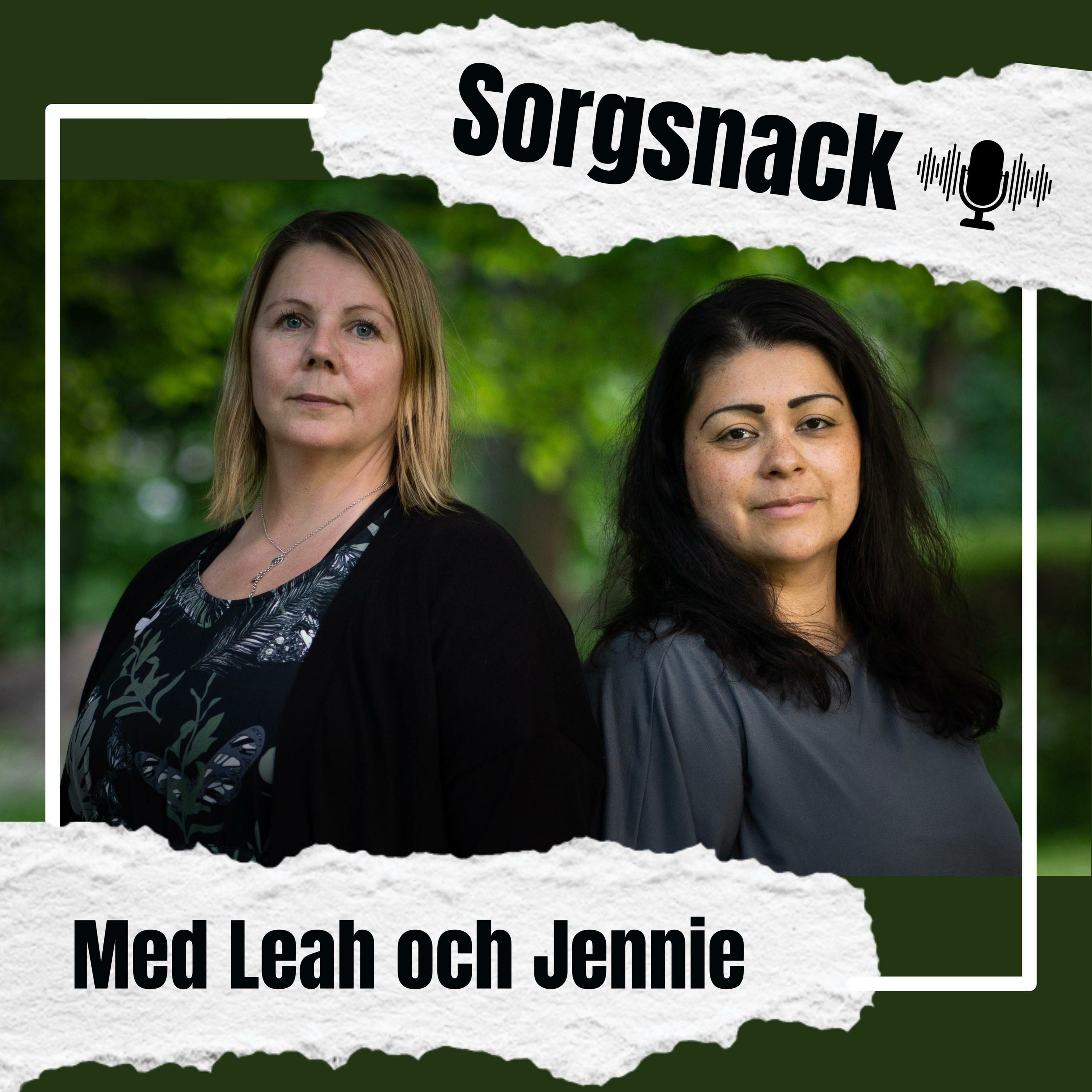 Sorgsnack