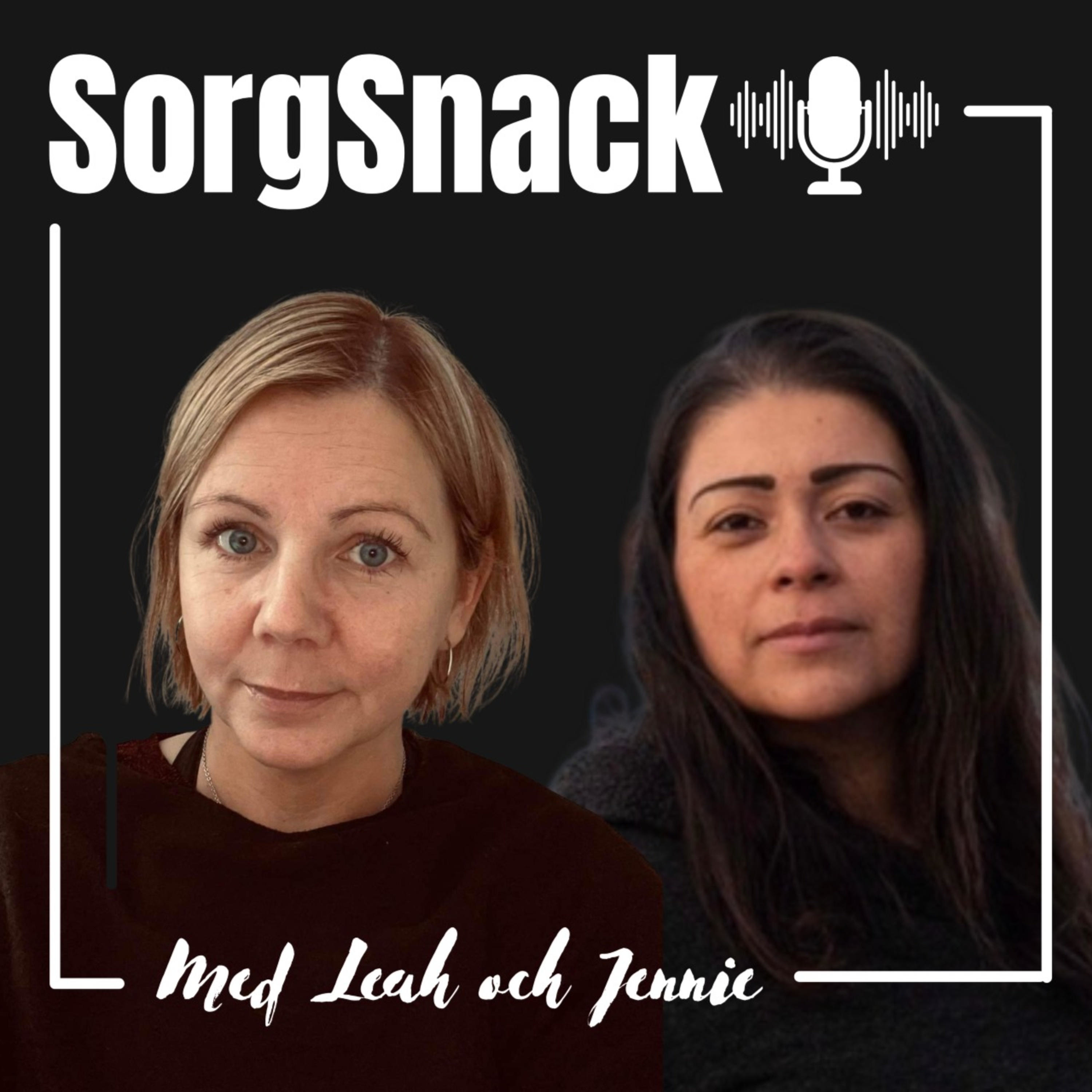 Sorgsnack