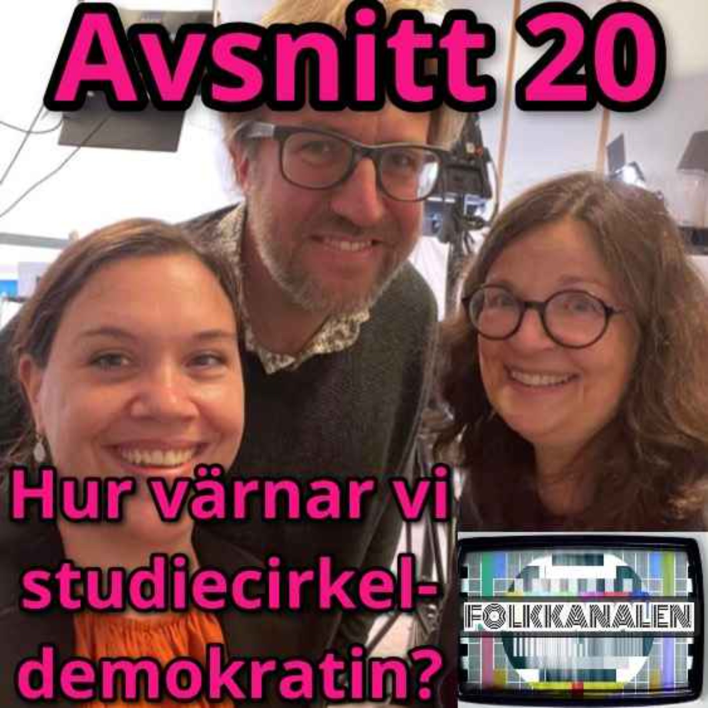 cover art for 20. Hur värnar vi studiecirkeldemokratin, Anna Ekström?