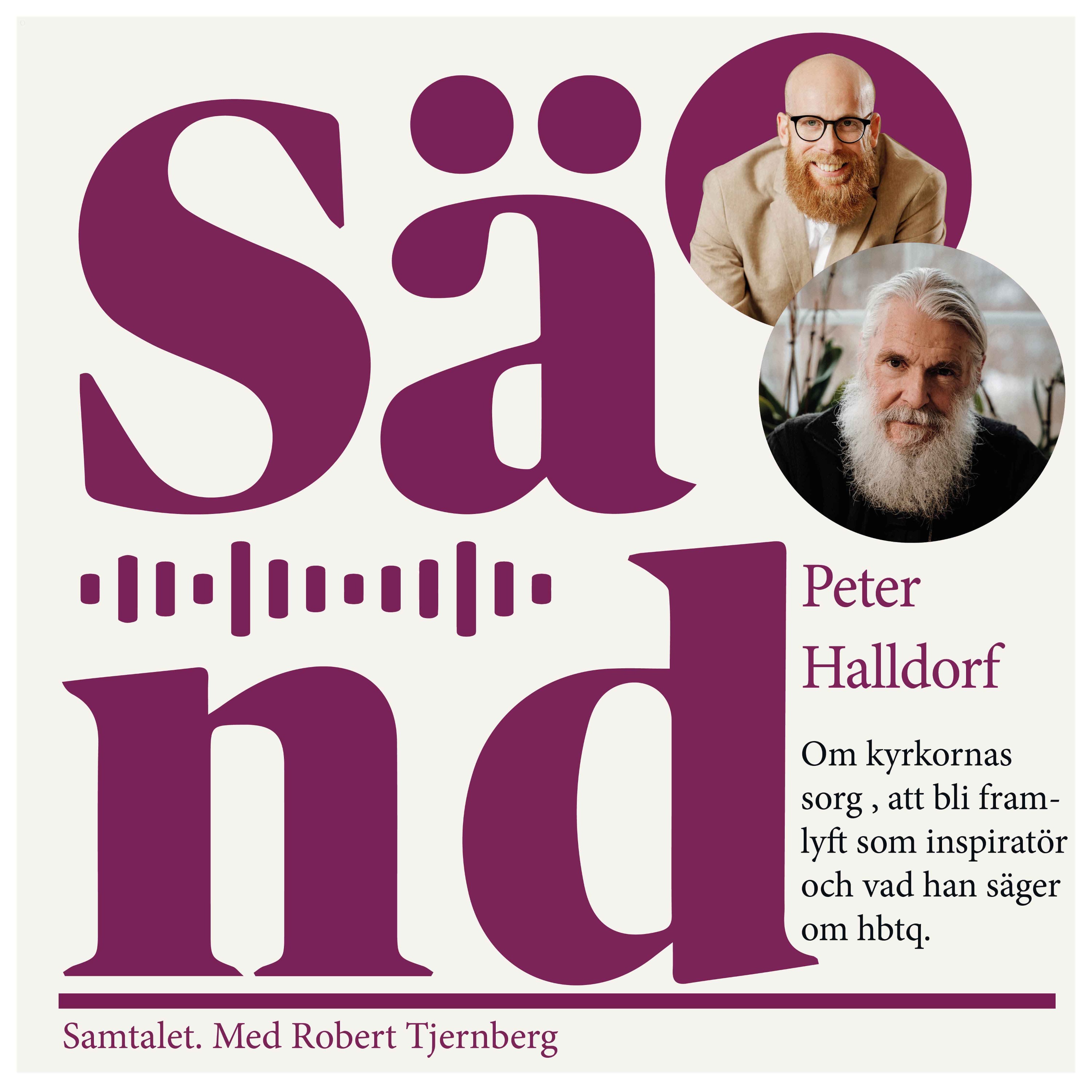 cover art for Ep 30: Peter Halldorf om Kyrkans sorg och HBTQ