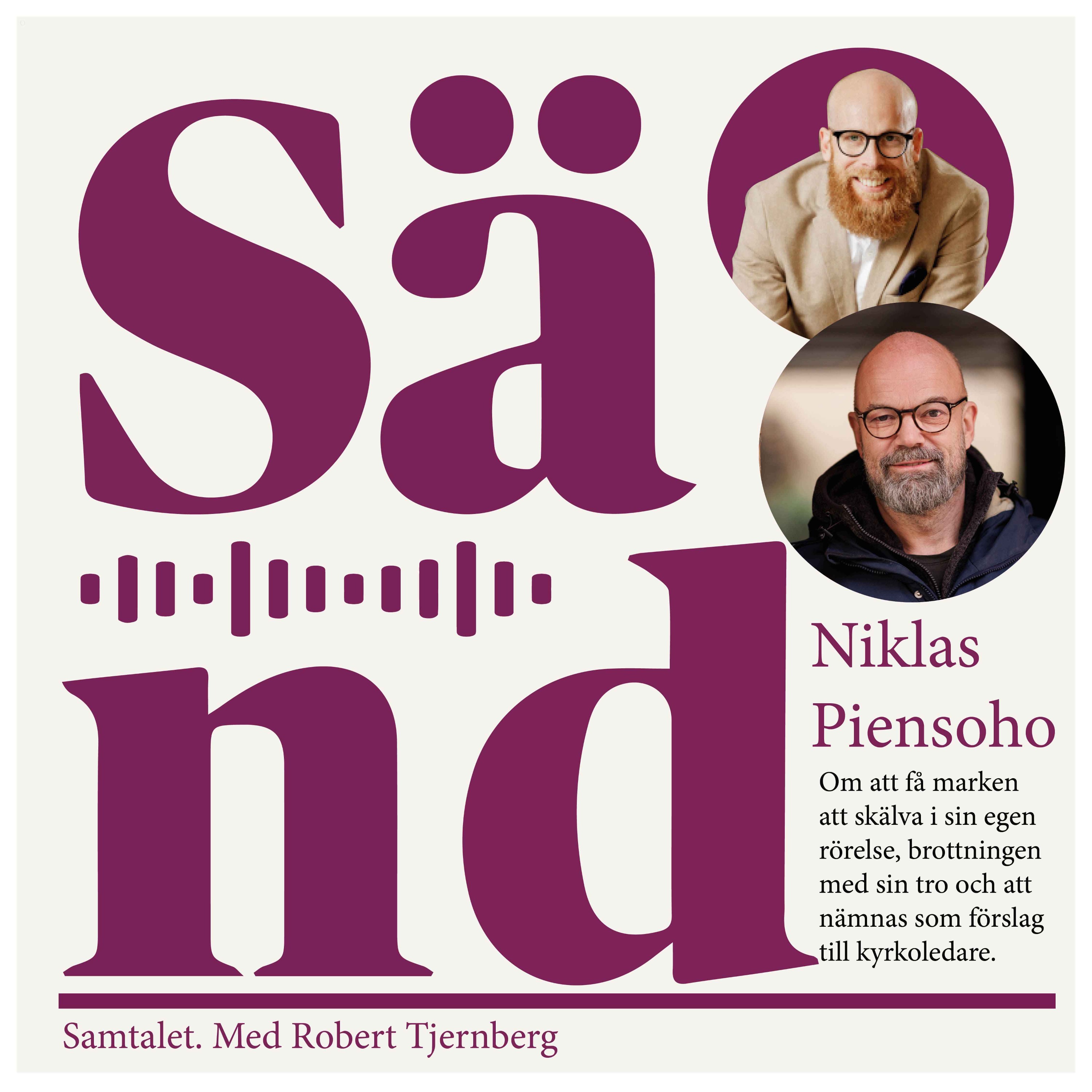 cover art for Ep 33: Niklas Piensoho