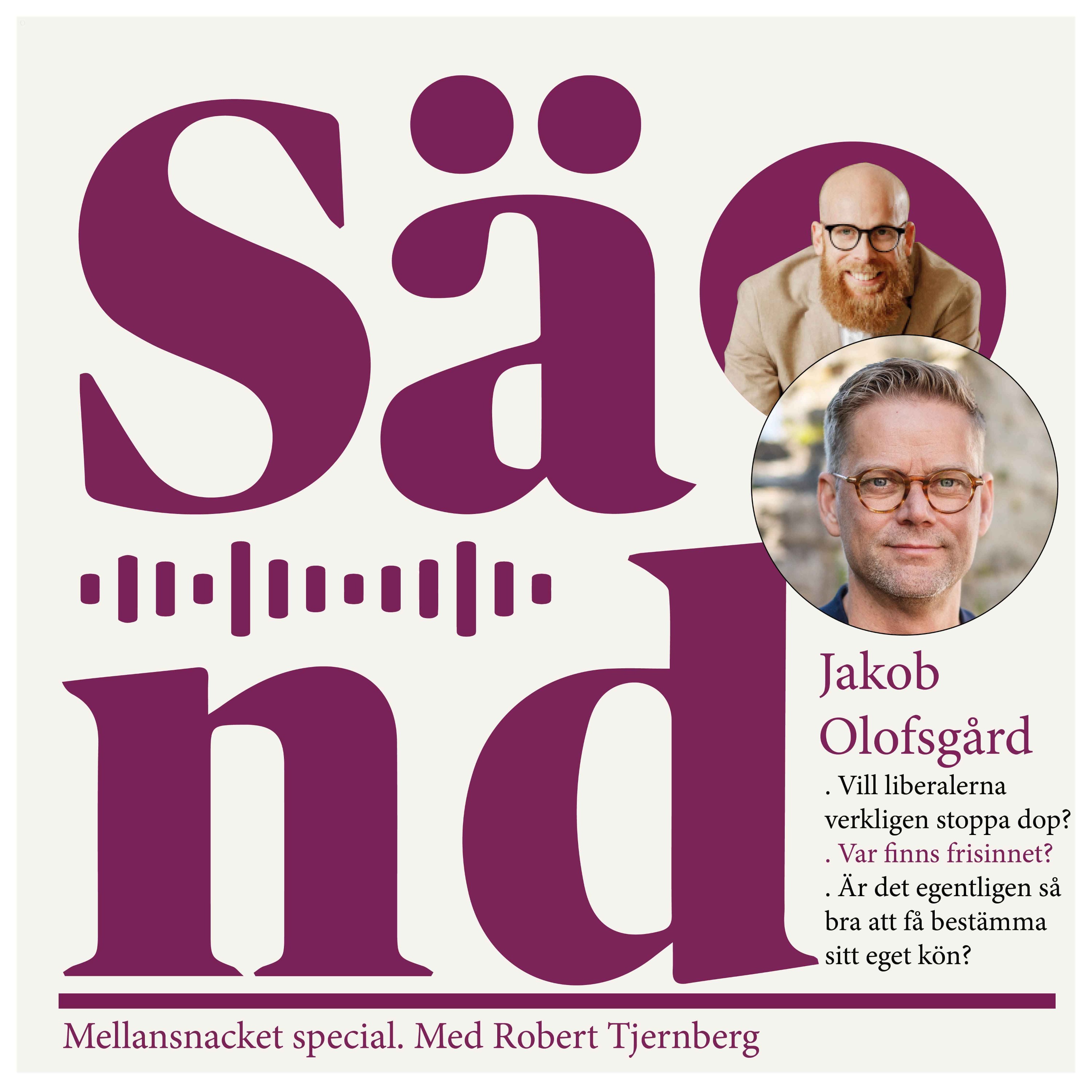 cover art for Ep 36: Mellansnack med Jakob Olofsgård