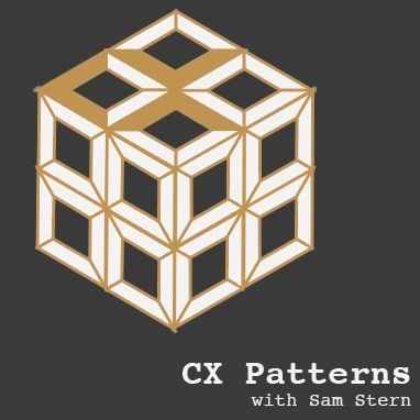 Customer Experience Patterns Podcast