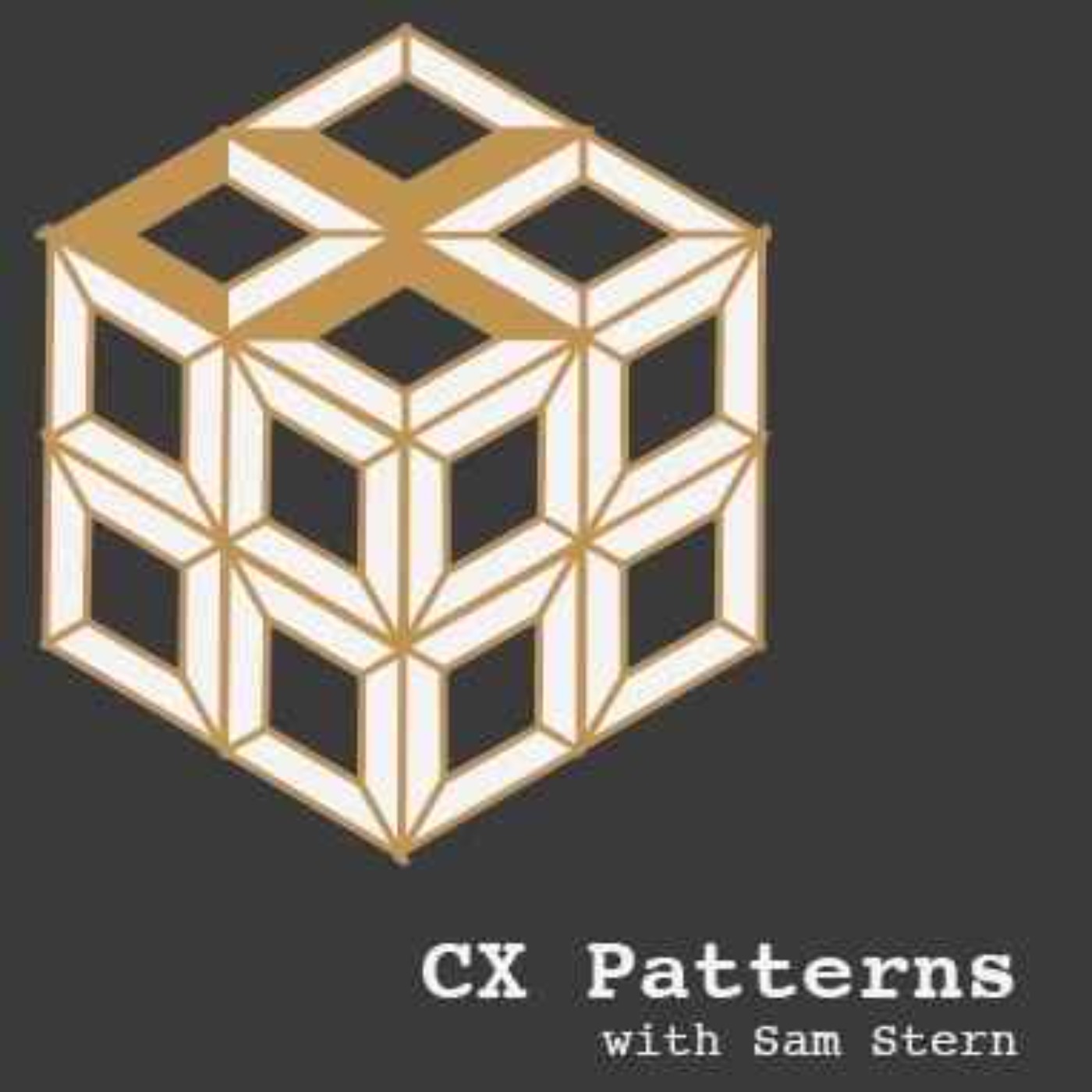The Exponential CX Team: How One CX Team Increased Its Impact By 50X