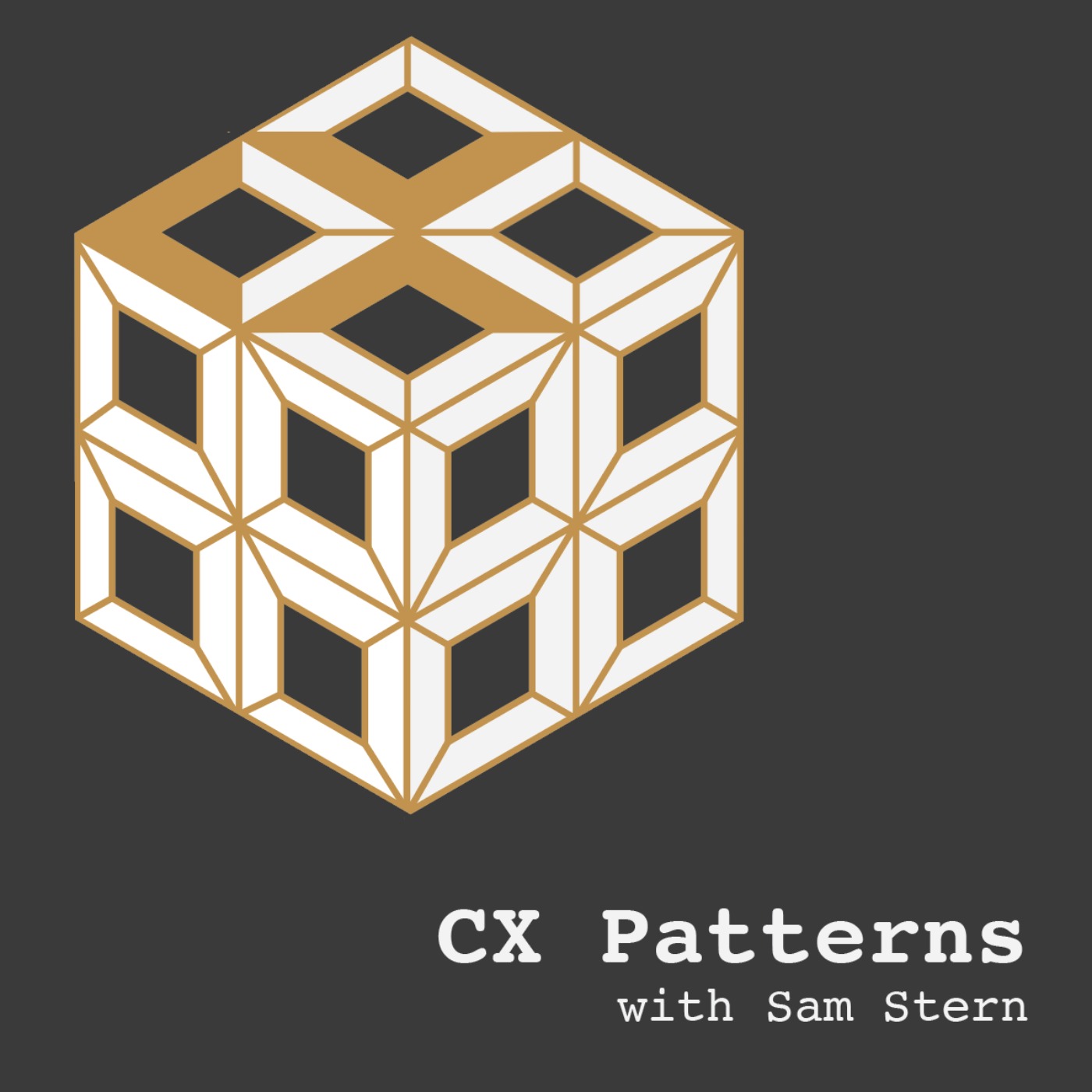 Making AI Actionable For Your CX - With Nico Rieul