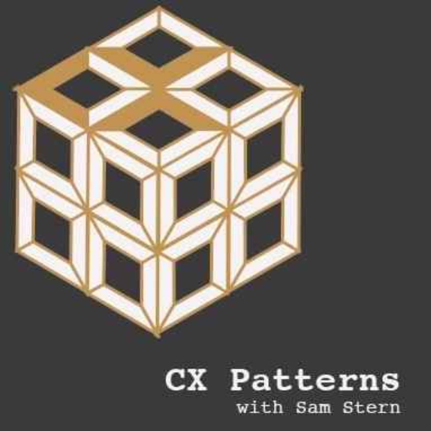 The Overlooked CX Superpower with Lauren Feehrer