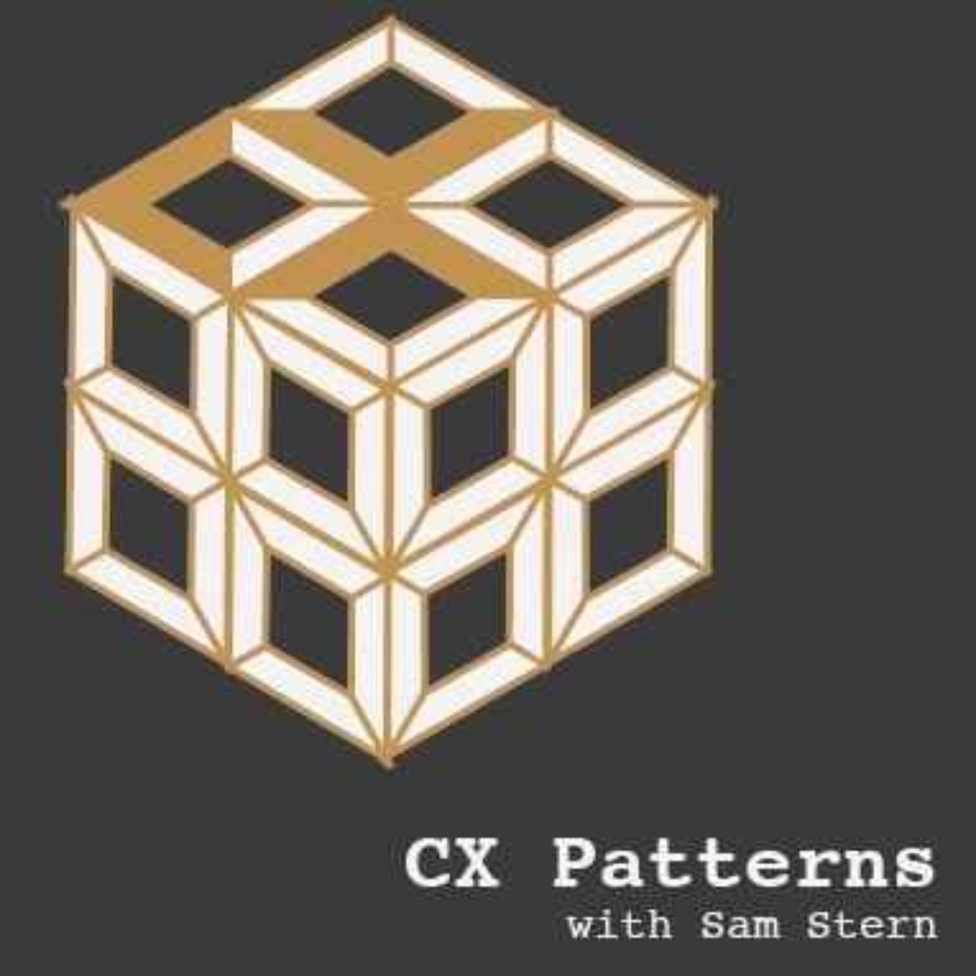 Stated Preferences or Revealed Preferences? Neither? Both?