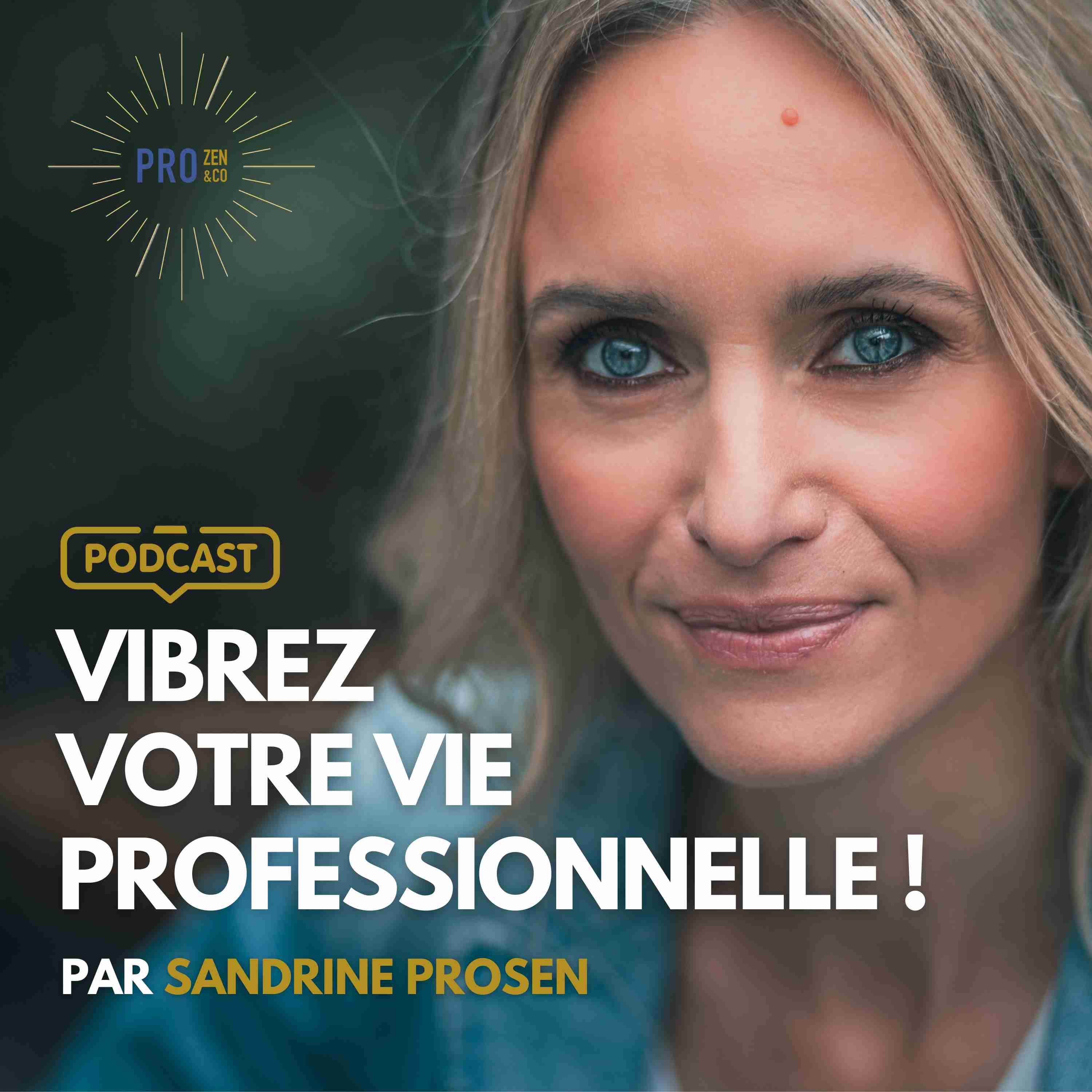Vibrez Votre Vie Professionnelle! Par Sandrine Krief (Prosen)