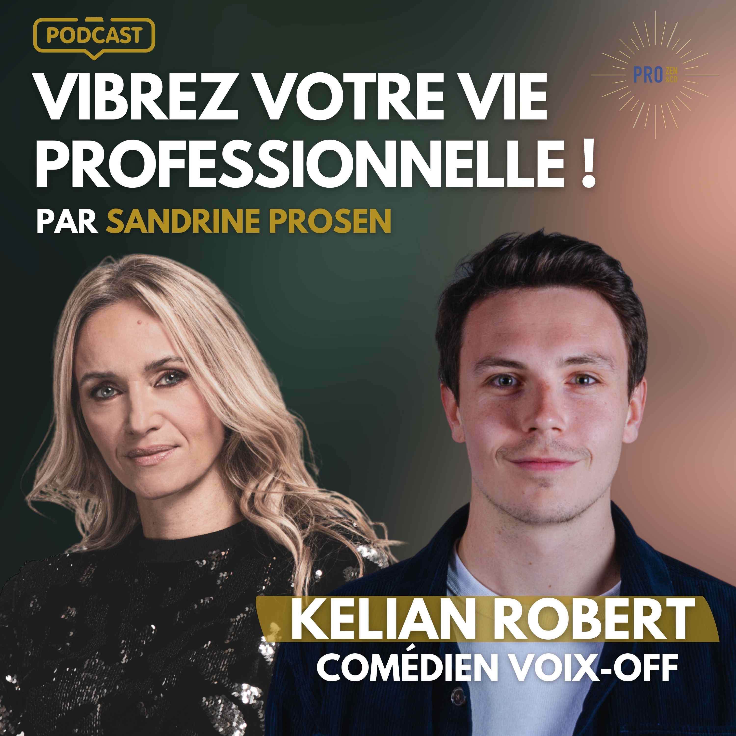 Vibrez Votre Vie Professionnelle! Par Sandrine Krief (Prosen)