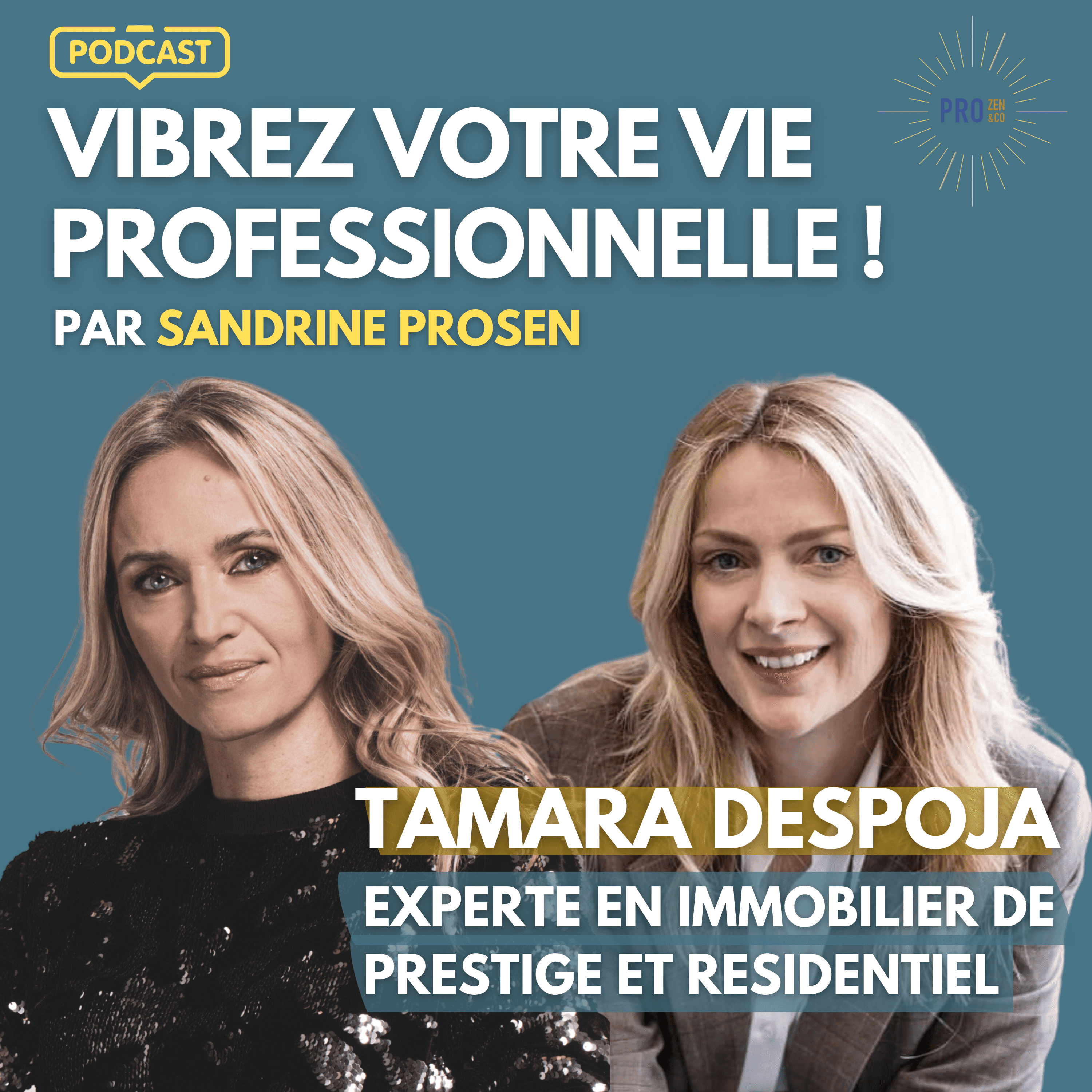 Vibrez Votre Vie Professionnelle! Par Sandrine Krief (Prosen)