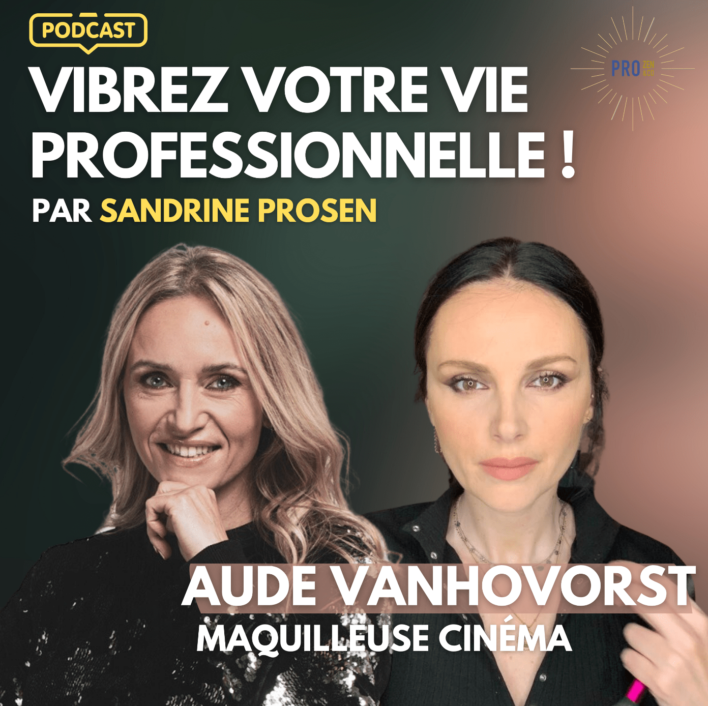 Vibrez Votre Vie Professionnelle! Par Sandrine Krief (Prosen)