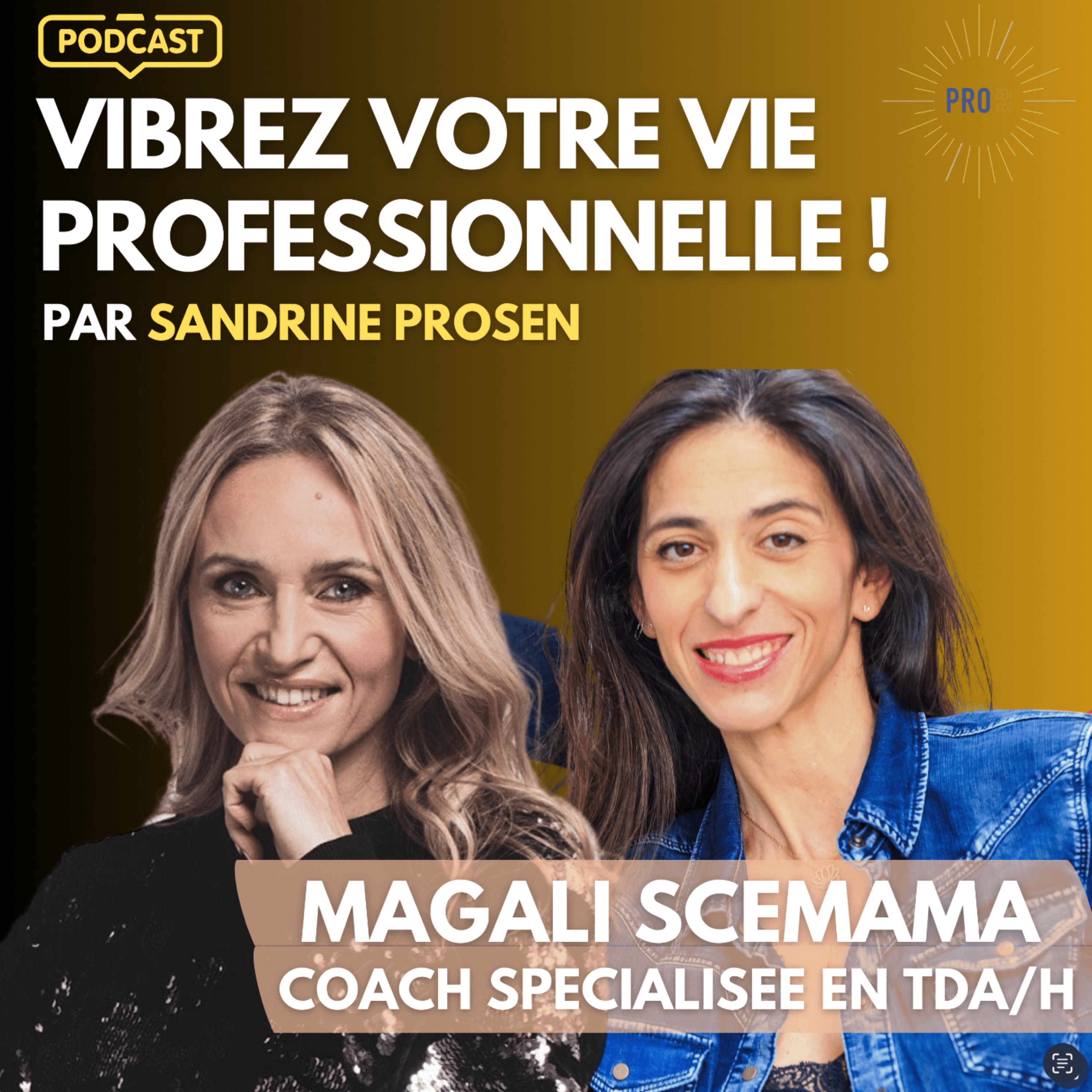 Vibrez Votre Vie Professionnelle! Par Sandrine Krief (Prosen)