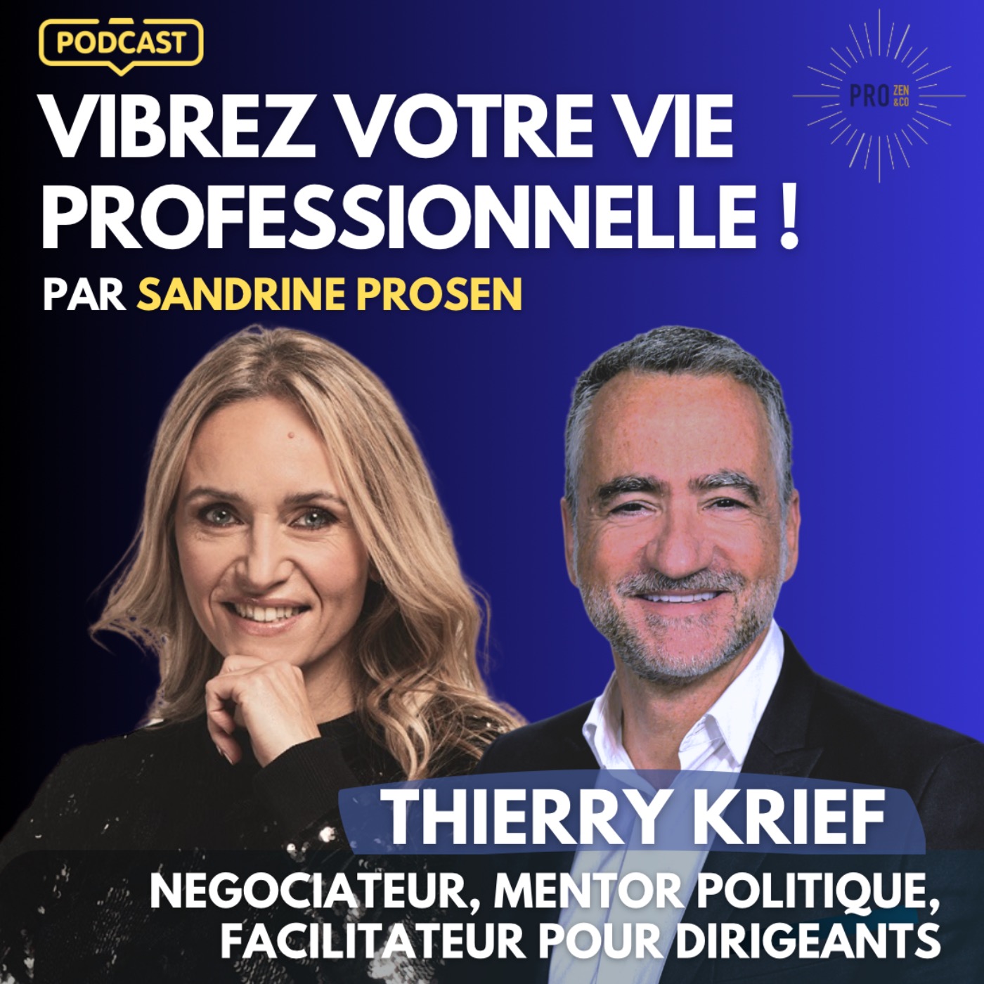 Vibrez Votre Vie Professionnelle! Par Sandrine Krief (Prosen)