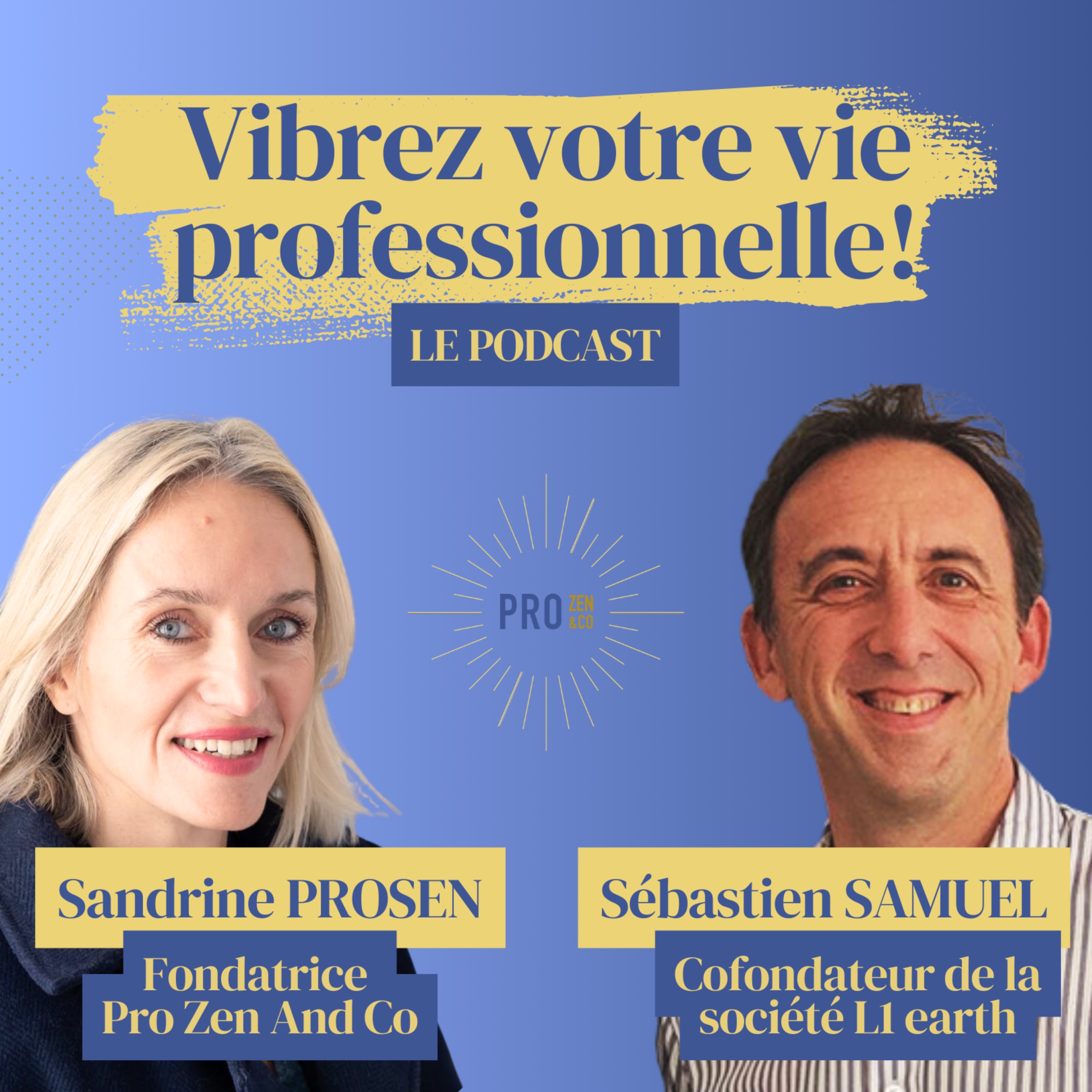 Vibrez Votre Vie Professionnelle! Par Sandrine Krief (Prosen)