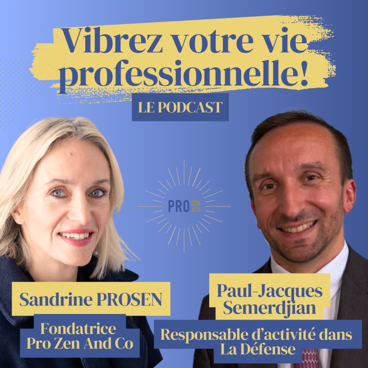 Vibrez Votre Vie Professionnelle! Par Sandrine Krief (Prosen)