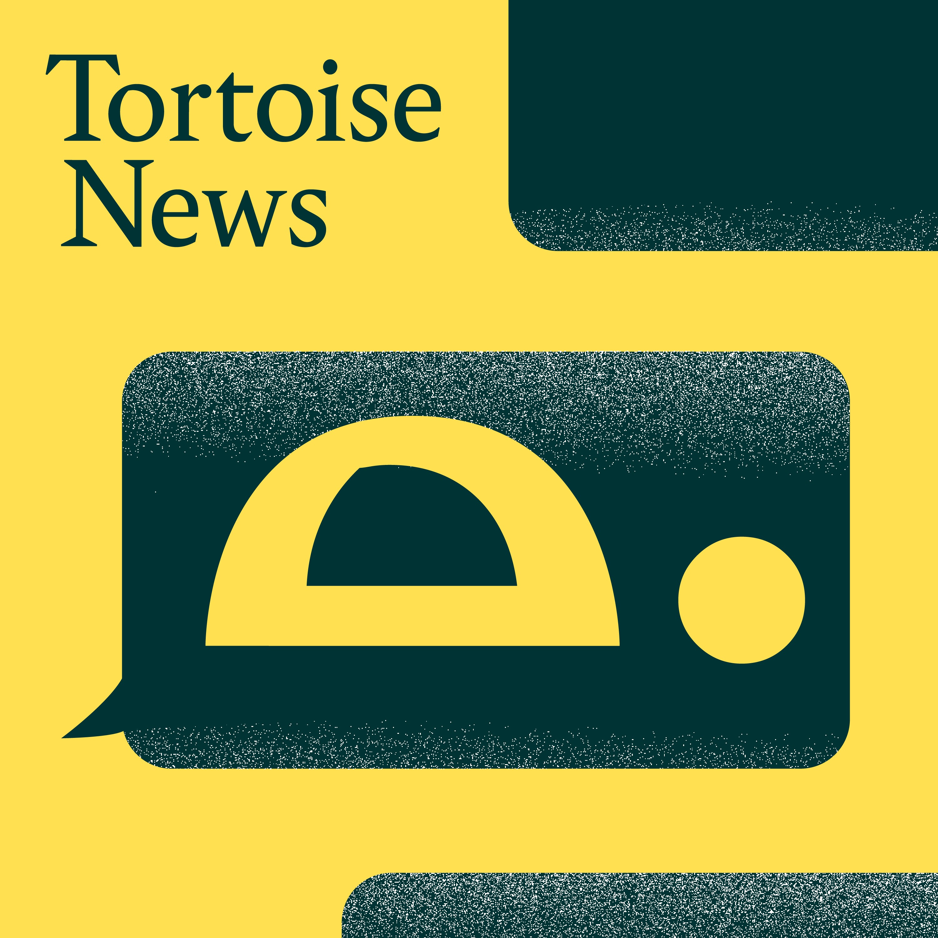Tortoise News:Tortoise