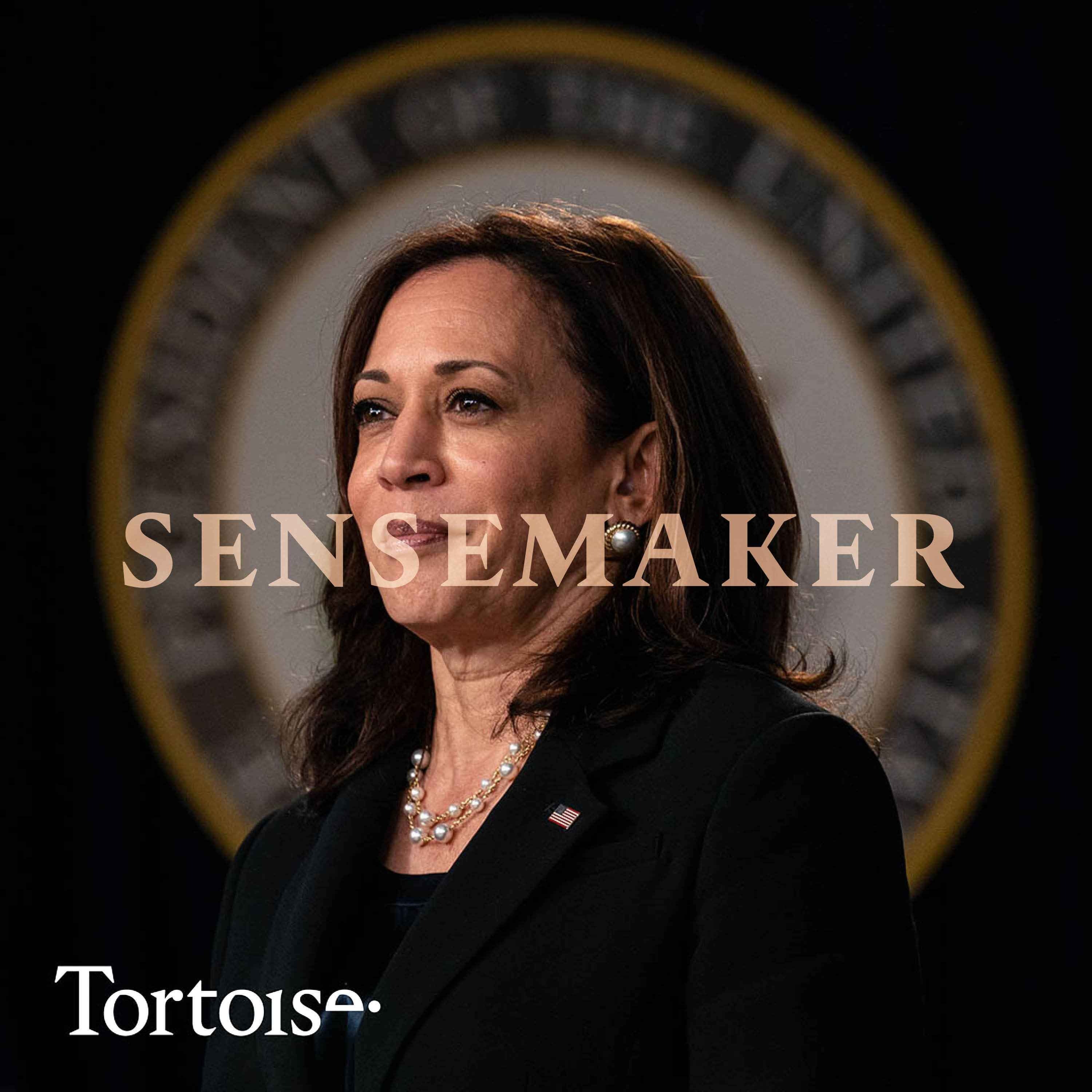 Sensemaker: The Kamala Harris question