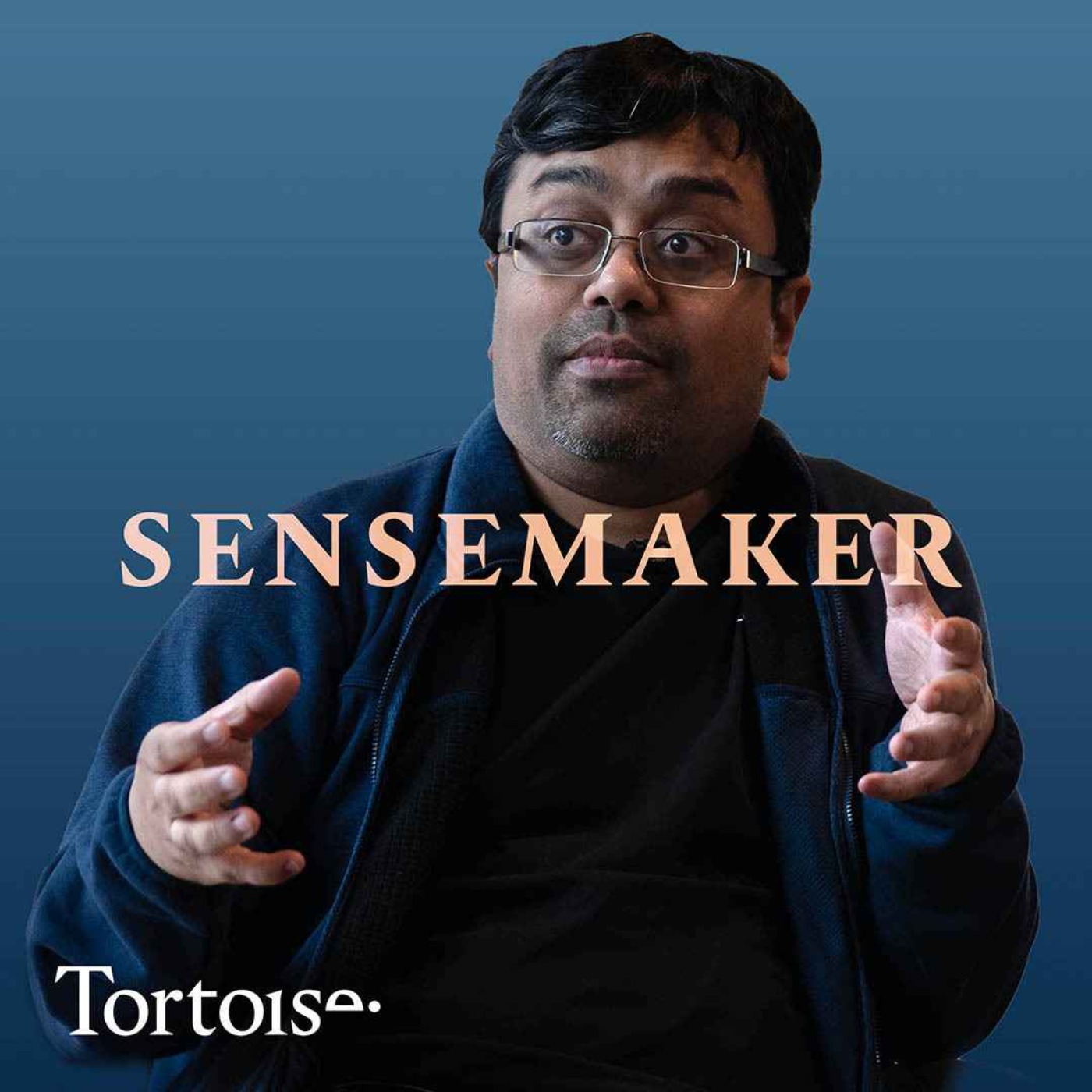 Sensemaker: Instability AI