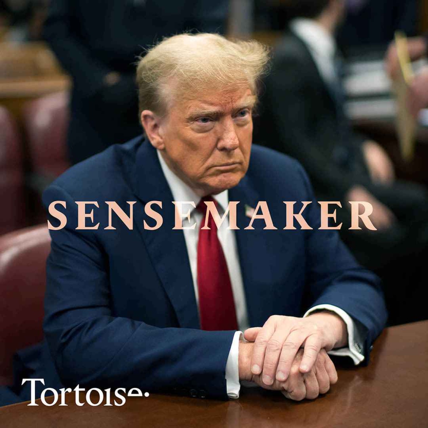 cover art for Sensemaker: Trump’s first week in court