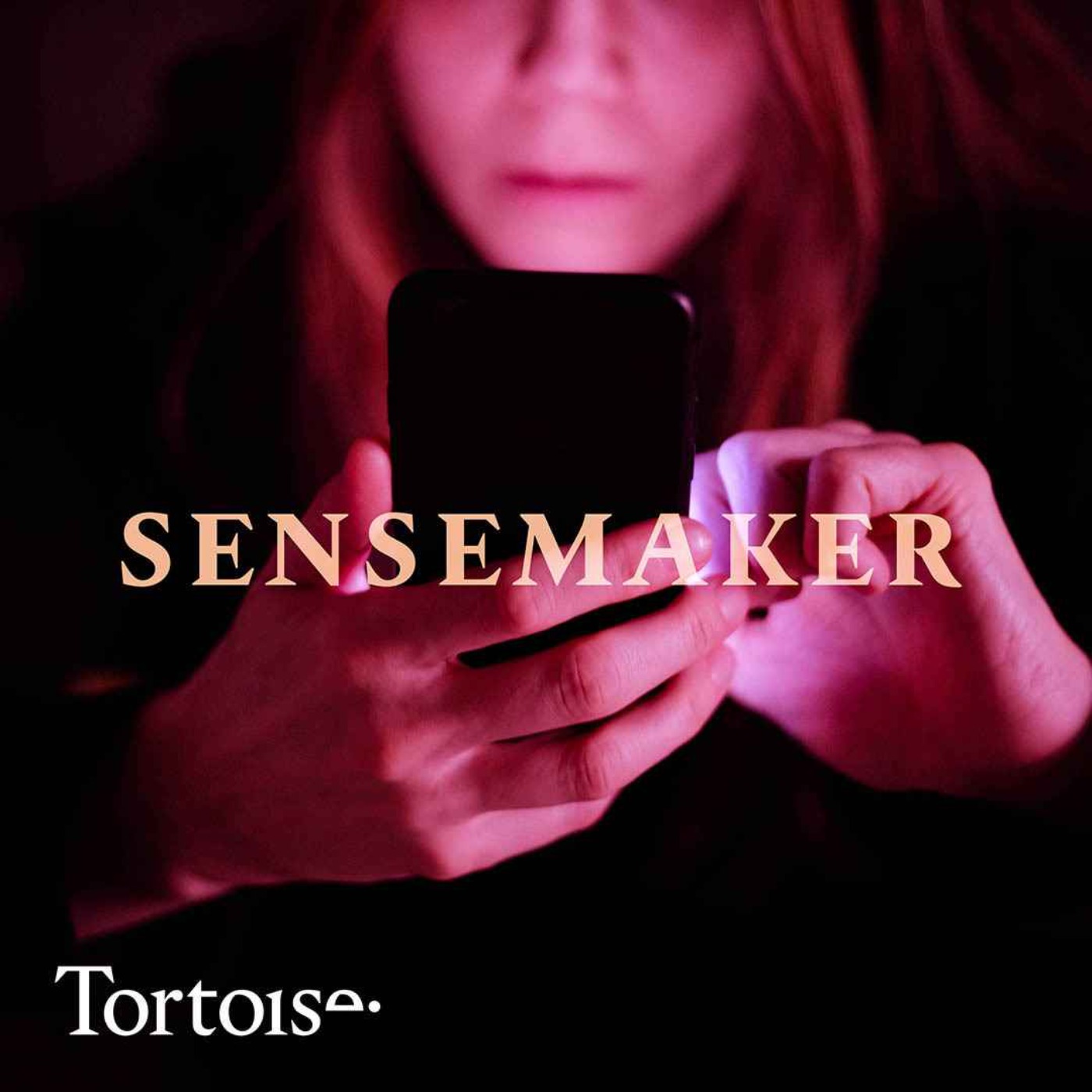 cover art for Sensemaker: Bumble changes course