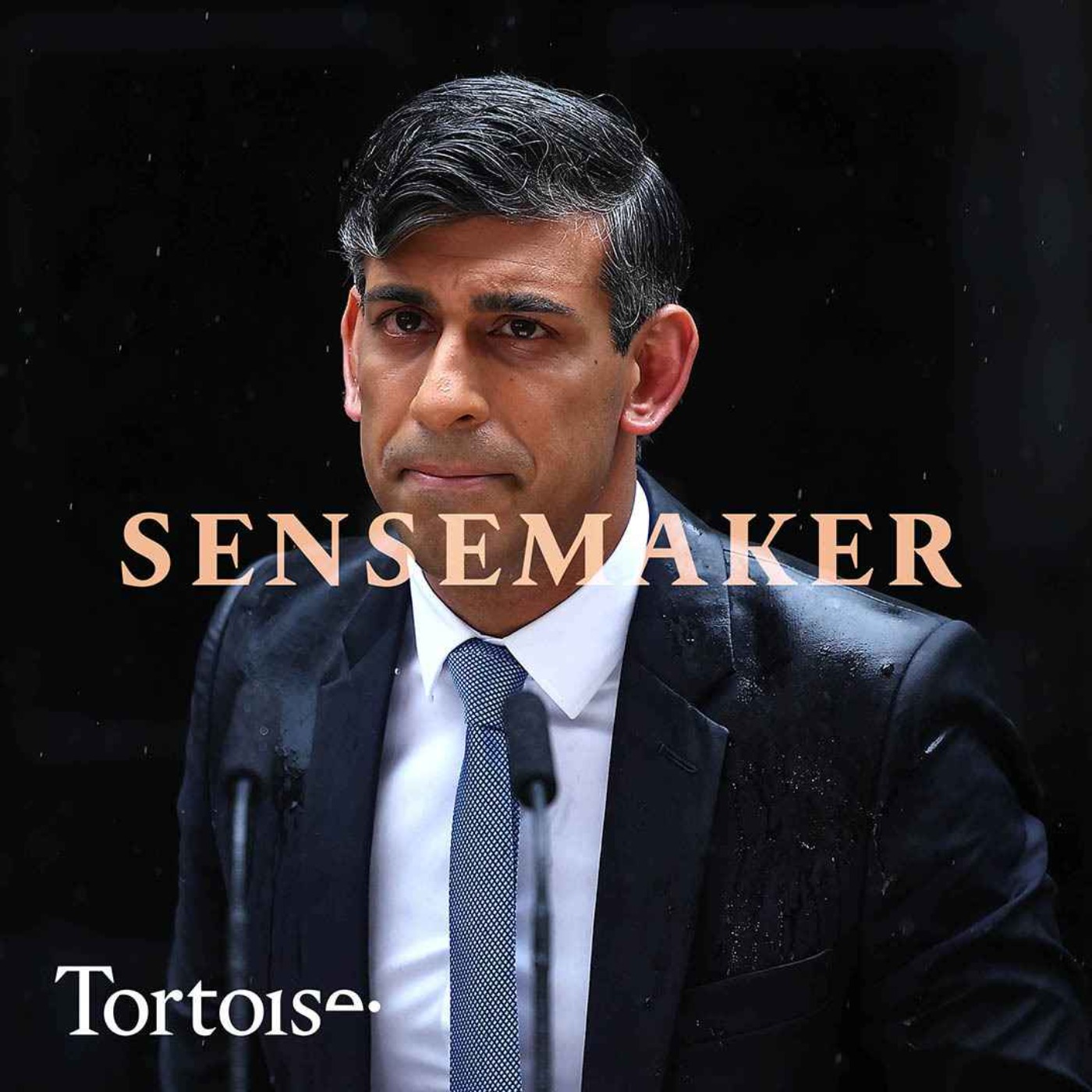cover art for Sensemaker: Rishi Sunak announces a general election