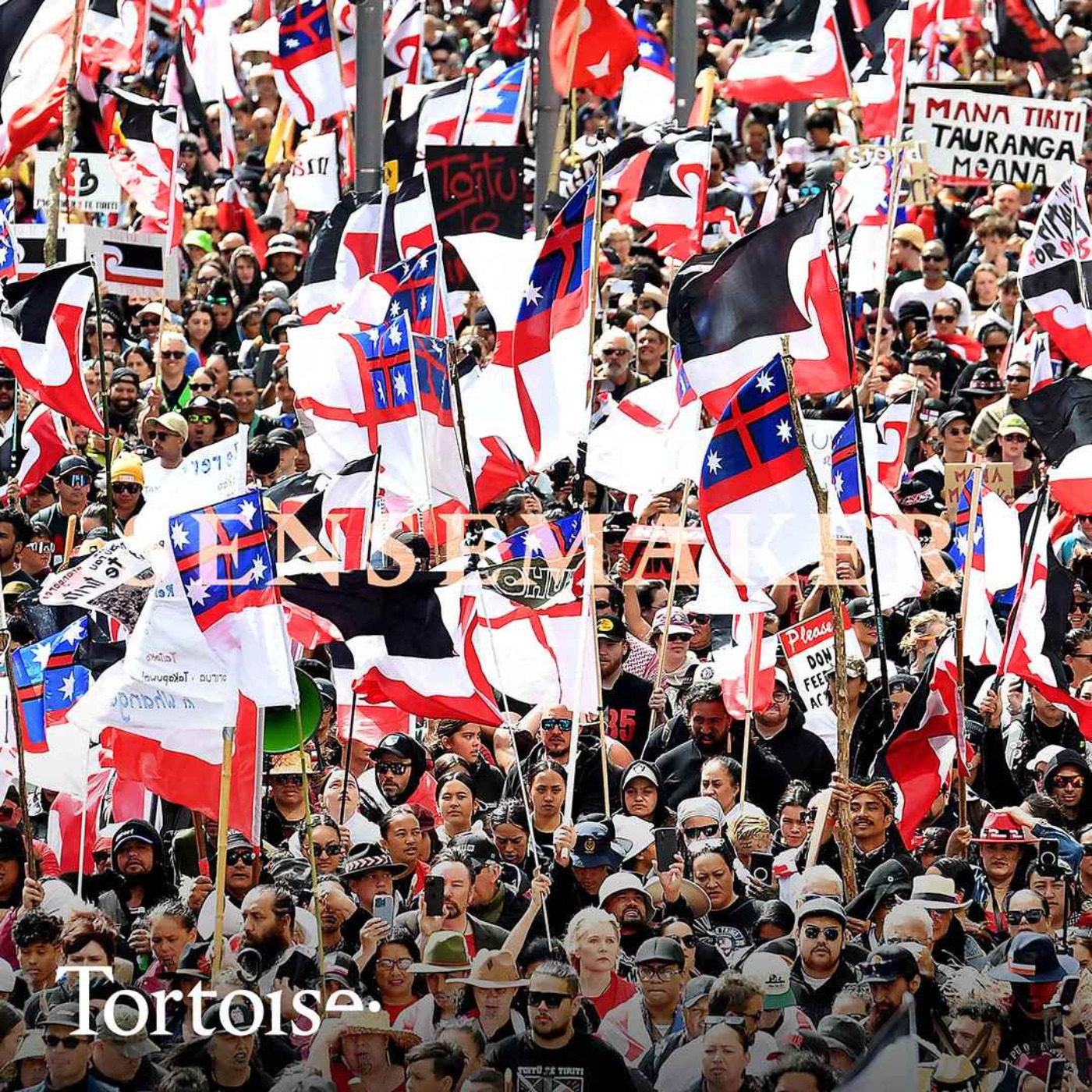 Sensemaker: Why are there protests over Māori rights in New Zealand?