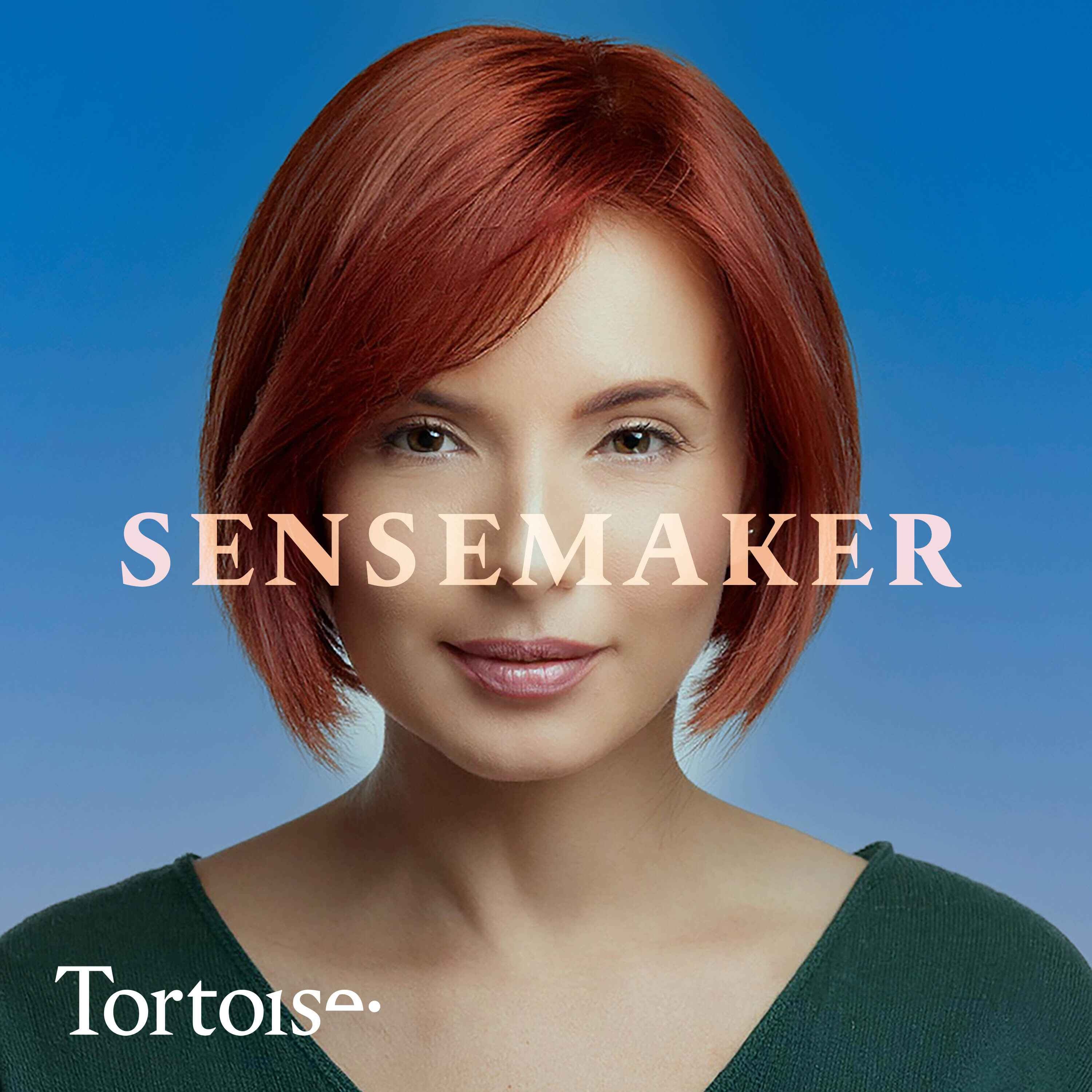 Sensemaker: Can an AI chatbot cure loneliness?