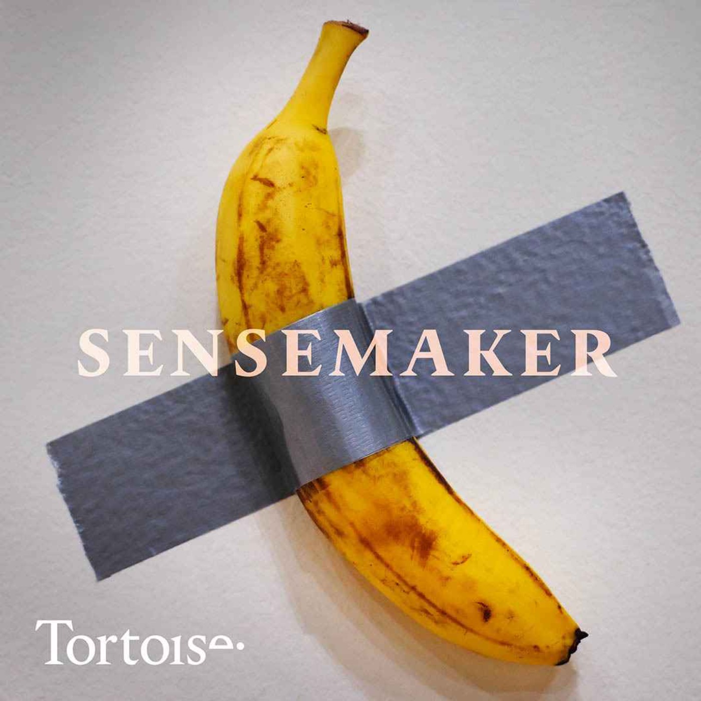 Sensemaker: Banana Art