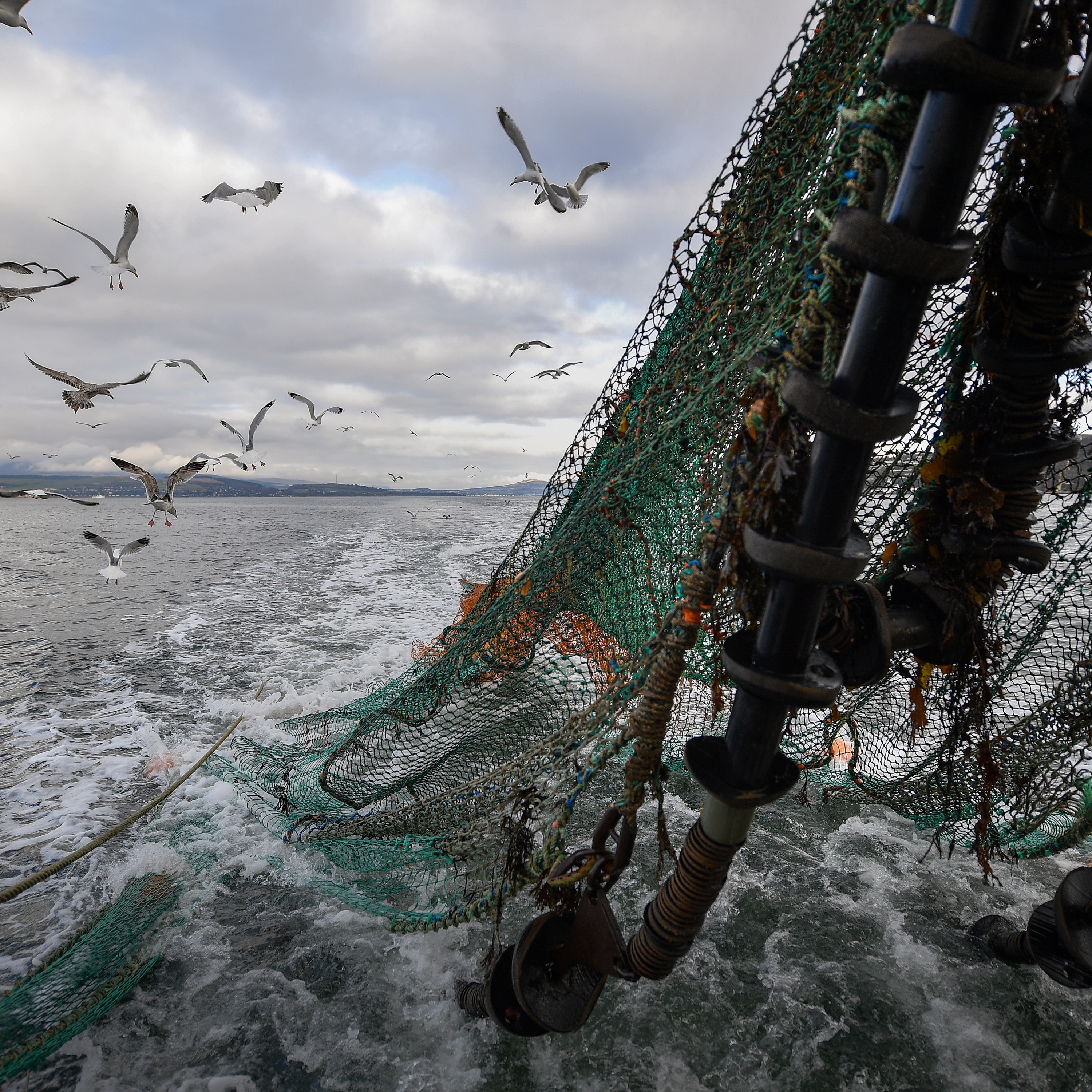 Why is David Attenborough warning us about ocean trawling?