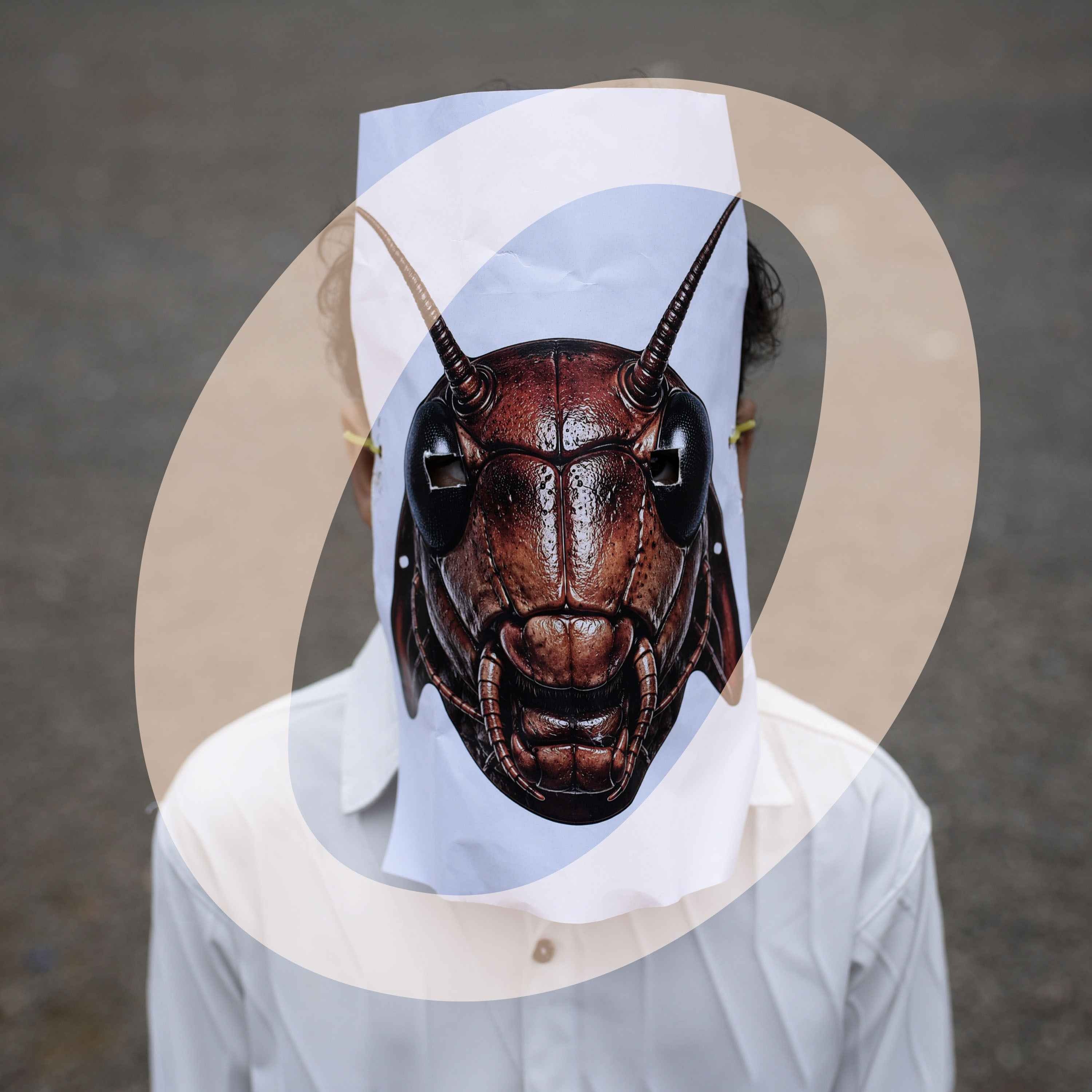 What's behind India's 'cockroach' protests?