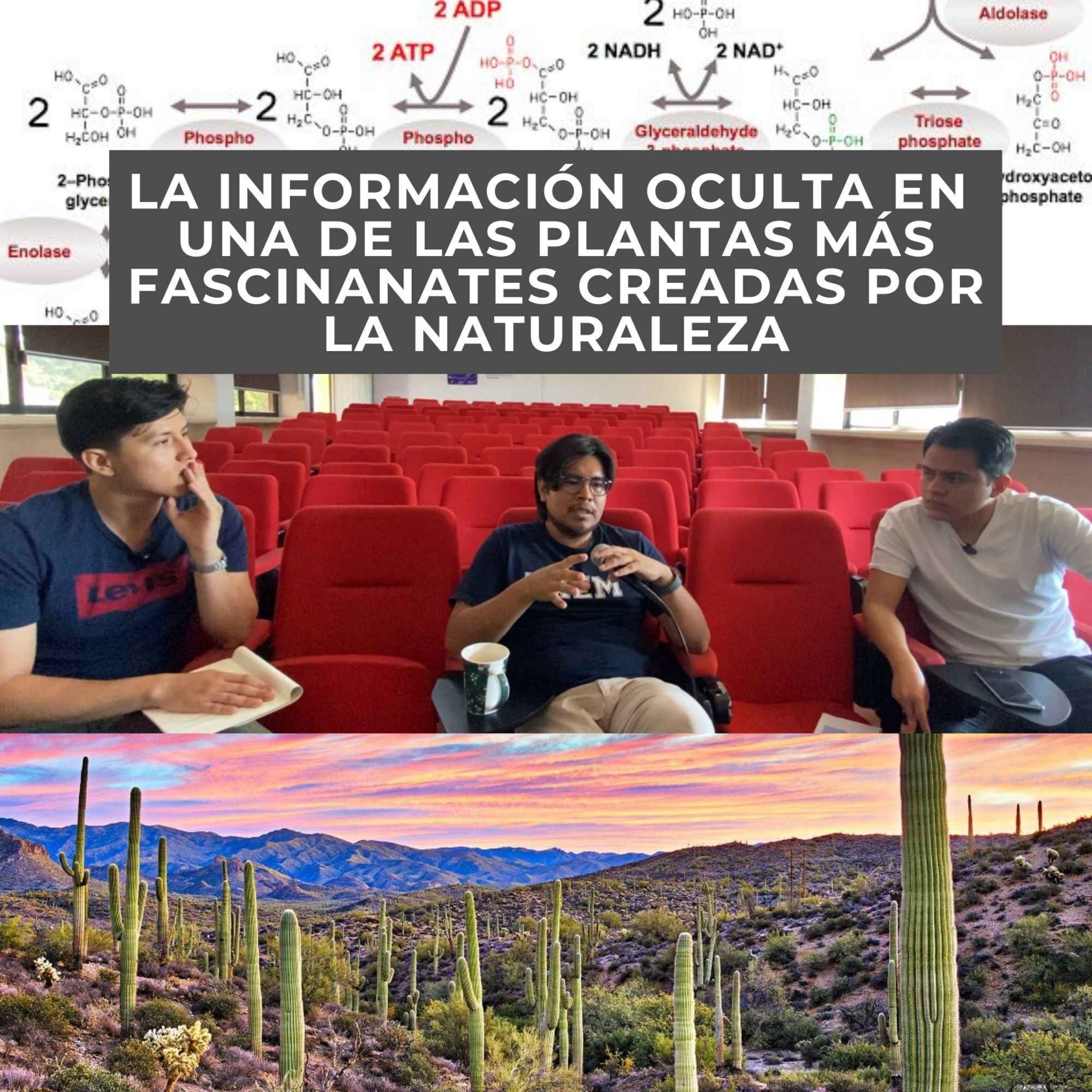 CIENCIA CULTURA Y EXCESO