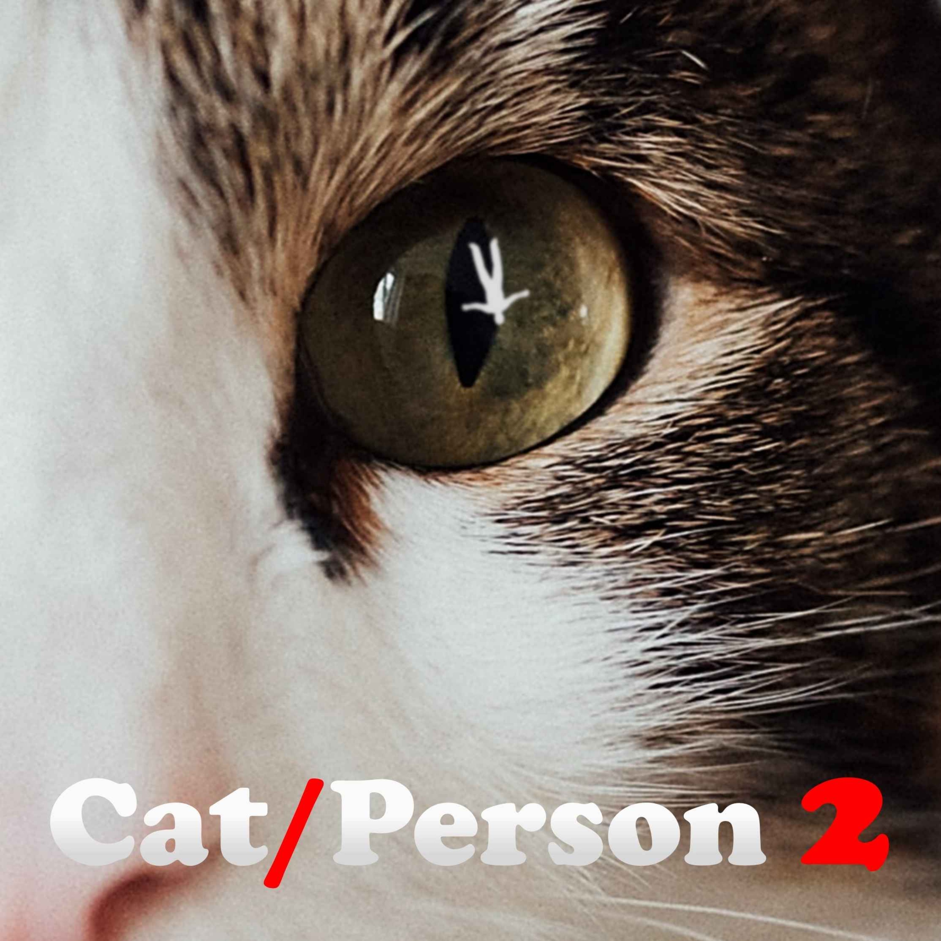 cover art for Series 2: Episode 2