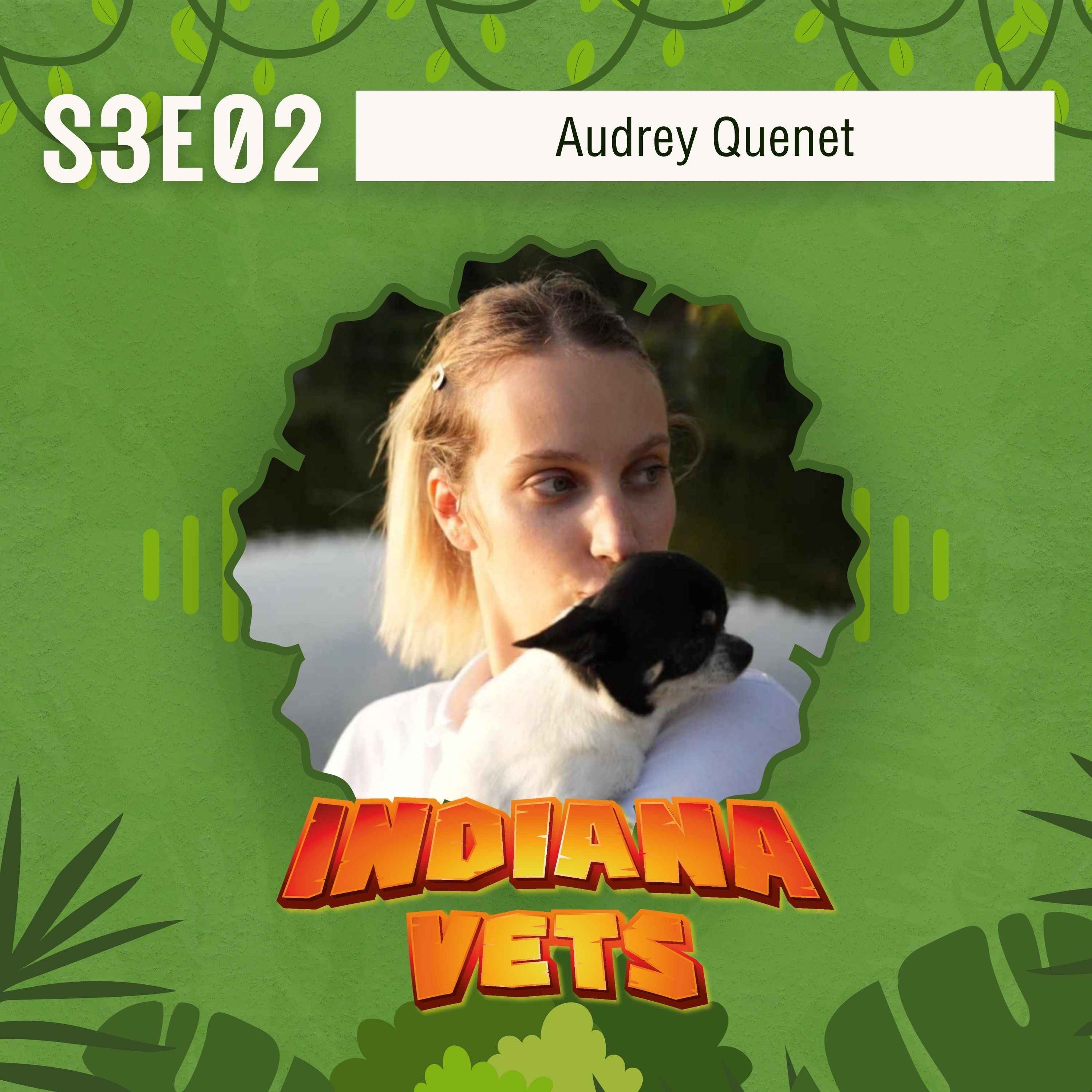 S03E02/ Audrey Quenet, ASV Next-generation ! episode artwork