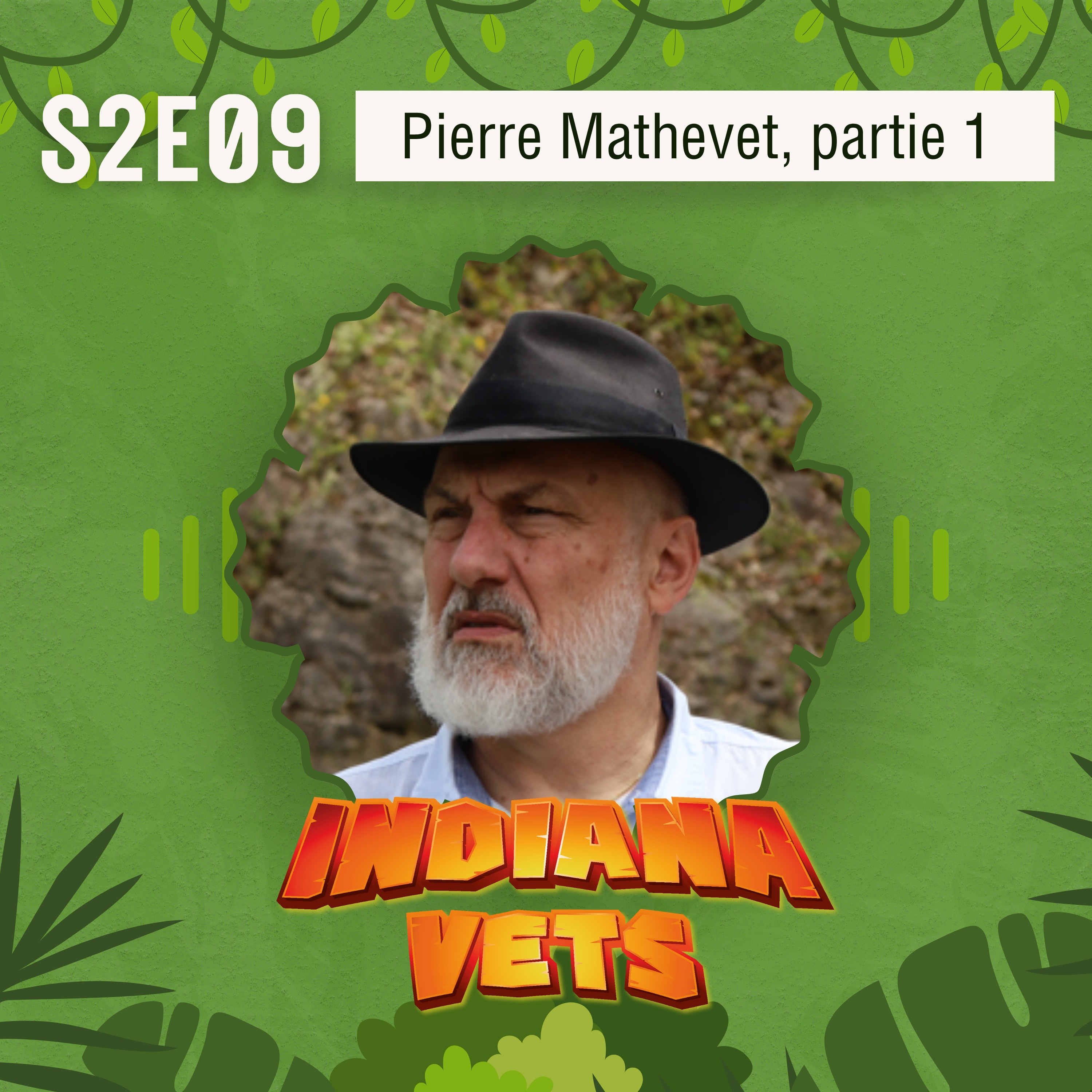 S02E09/ Interview de Pierre Mathevet, un tuteur de la forêt vétérinaire ! 🌳 episode artwork