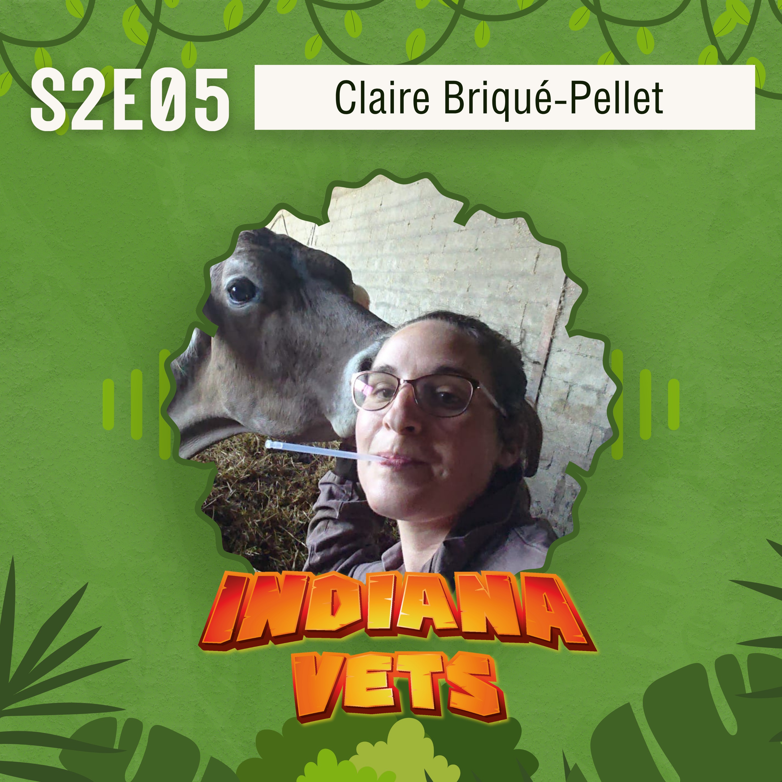 S02E05/ Interview de Claire Briqué-Pellet, vivre ses premiers pas de femme-vétérinaire en rurale 👩🏼🐮 episode artwork