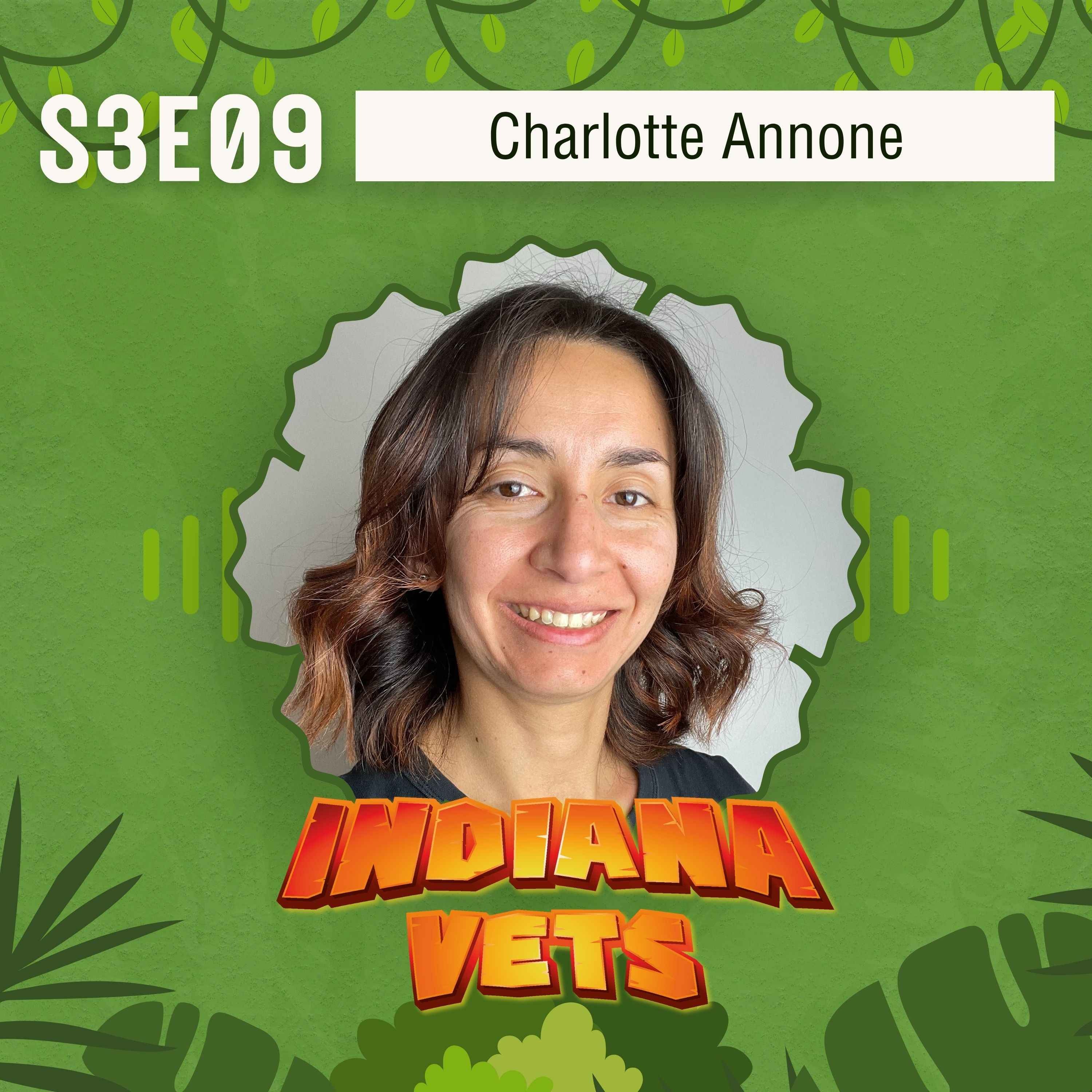 S03E09/ Charlotte Annone: trouver sa voie hors de la pratique vétérinaire episode artwork