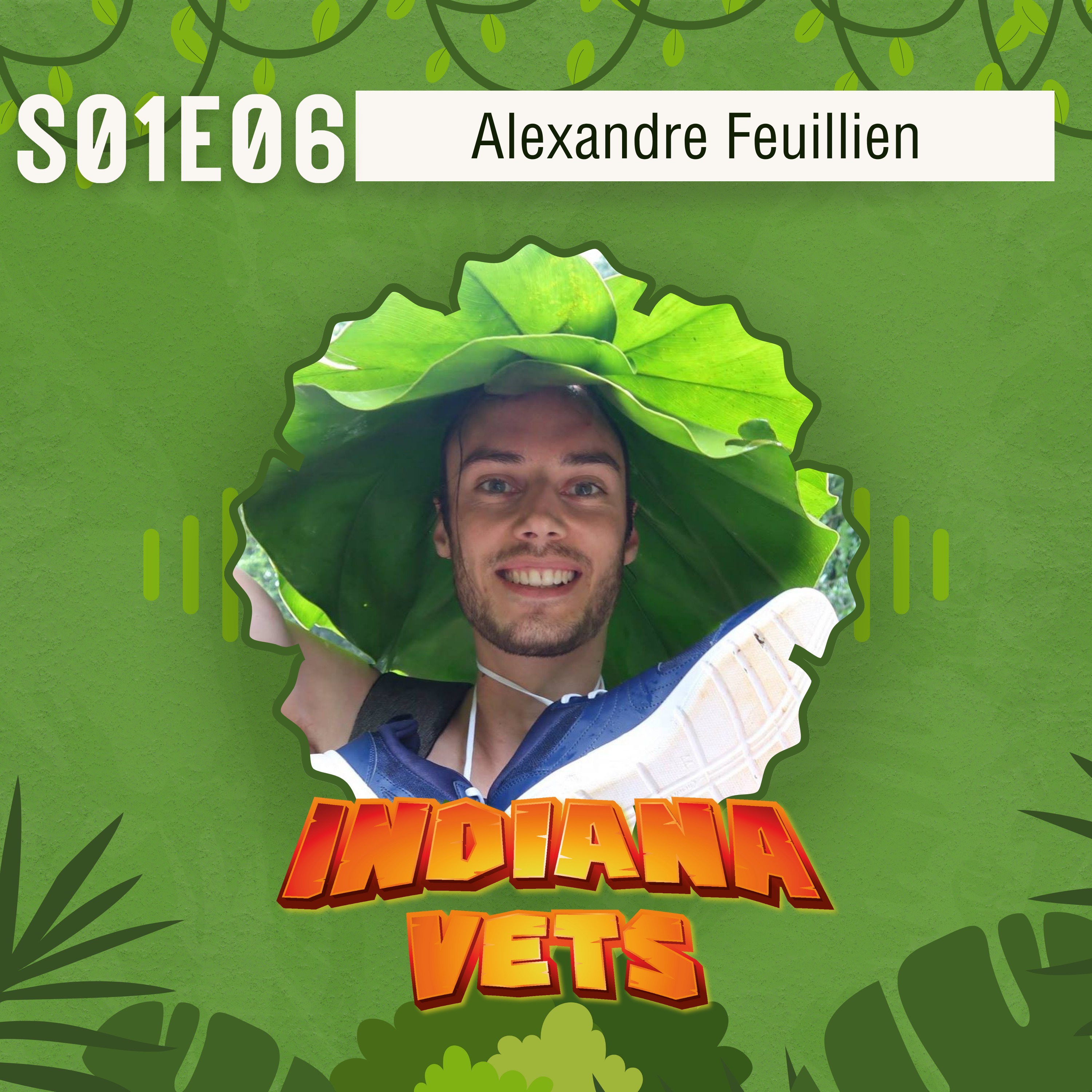 S01E06/ Interview d'Alexandre Feuillien: Conseils aux jeunes vétérinaires pour bien commencer leur carrière ! episode artwork