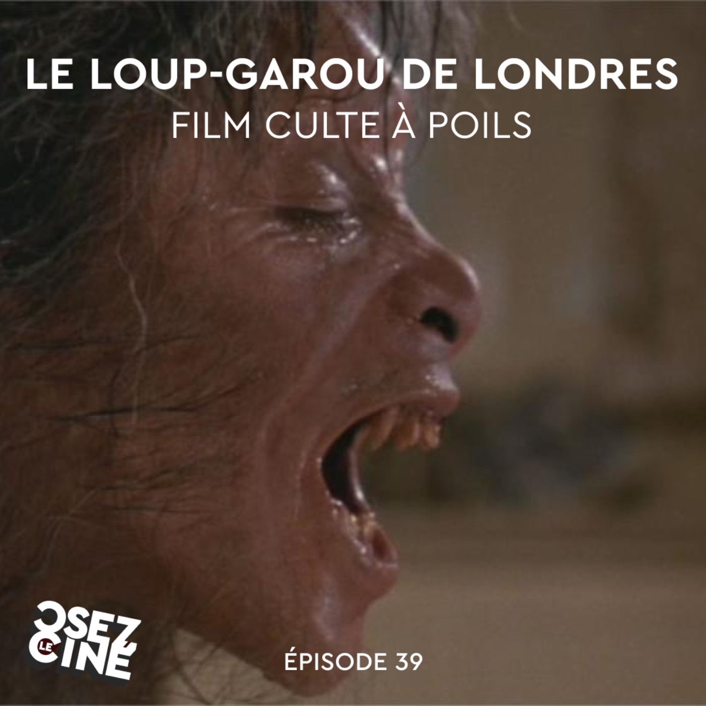 LE LOUP-GAROU DE LONDRES, culte à poils LE LOUP-GAROU DE LONDRES, culte à poils