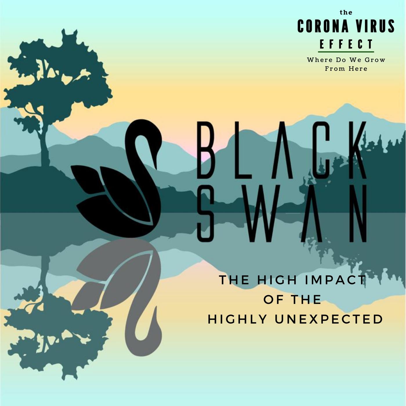 3. Black Swan -  The High Impact of the Highly Unexpected