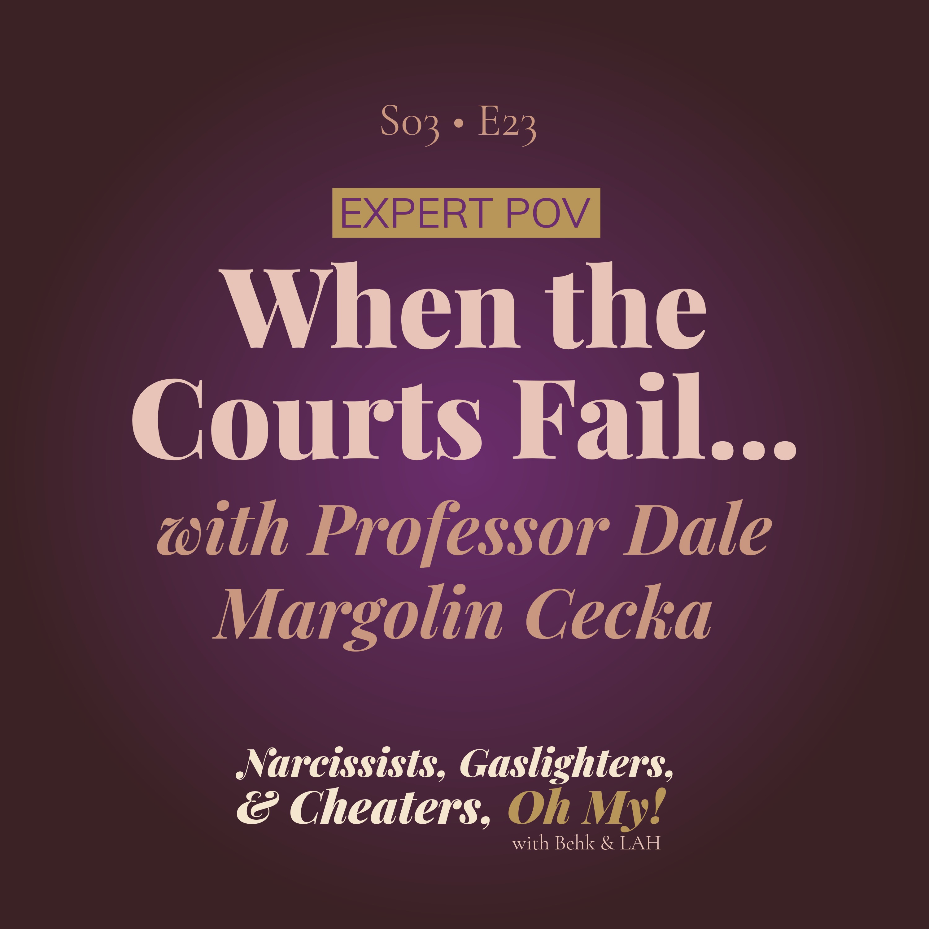 When the Courts Fail Survivors with Professor Dale Margolin Cecka episode artwork