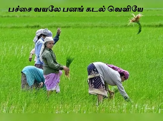 Eelam Songs: Pachai Vayale Panag Kadal Veliye Eelam Songs: Pachai Vayale Panag Kadal Veliye