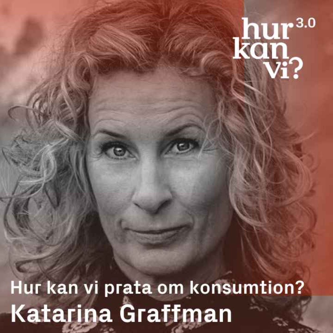 Katarina Graffman - Hur kan vi prata om konsumtion?